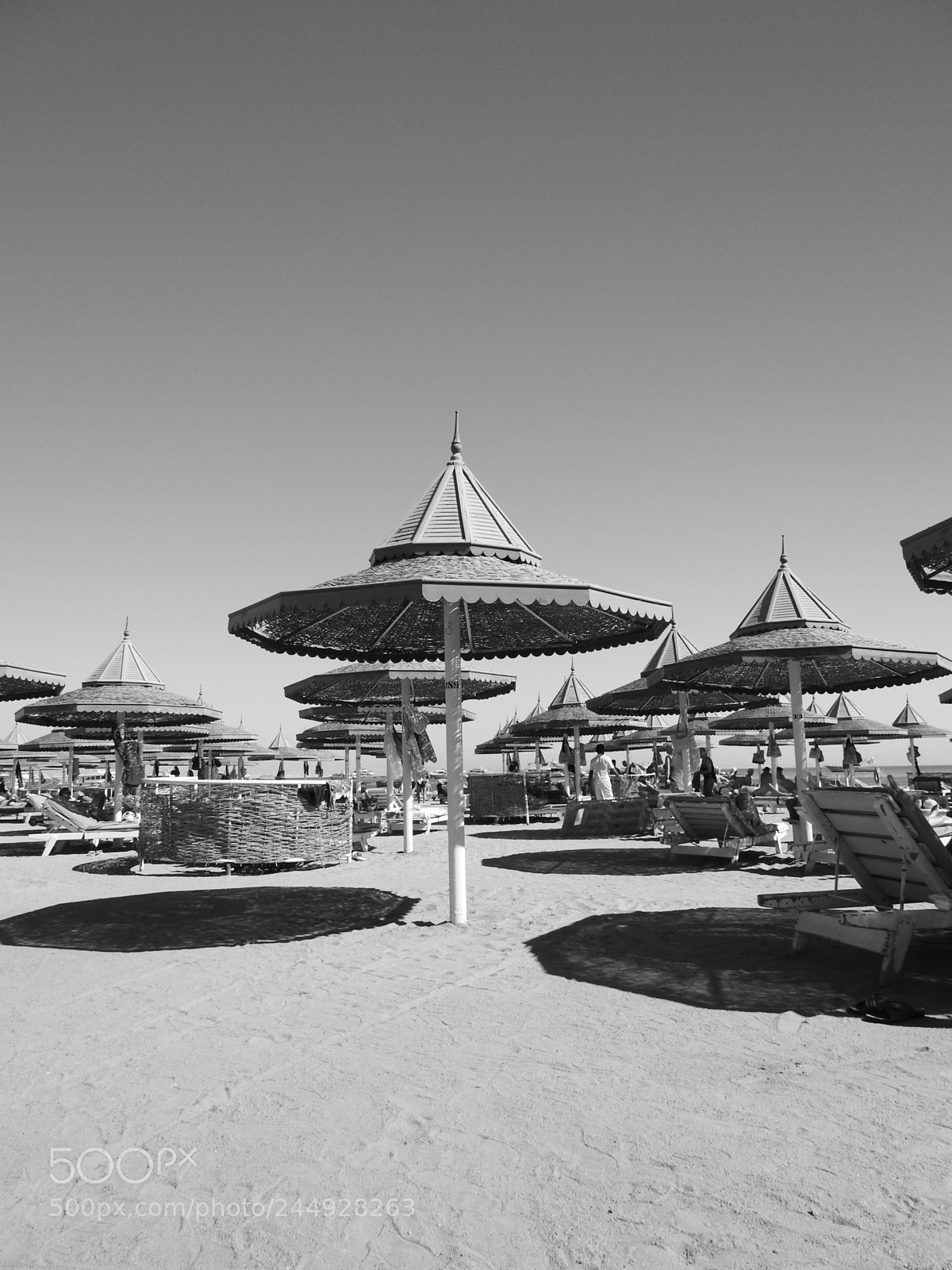 Nikon Coolpix P900 sample photo. Beach in b&w photography
