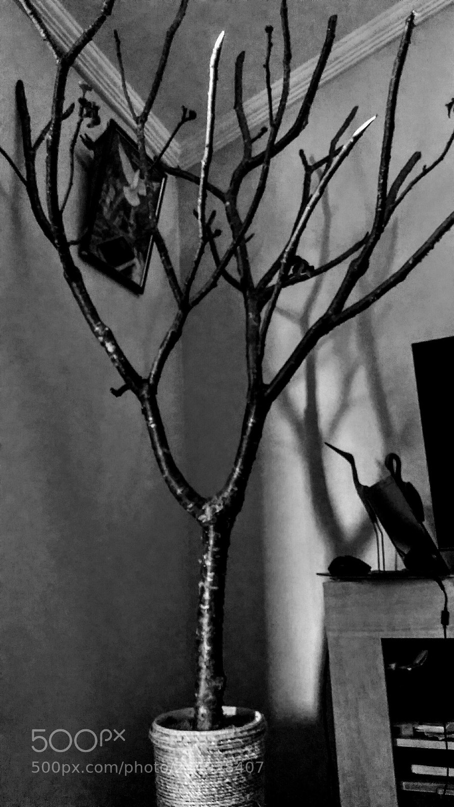 Motorola Moto G Play sample photo. Untitled photography