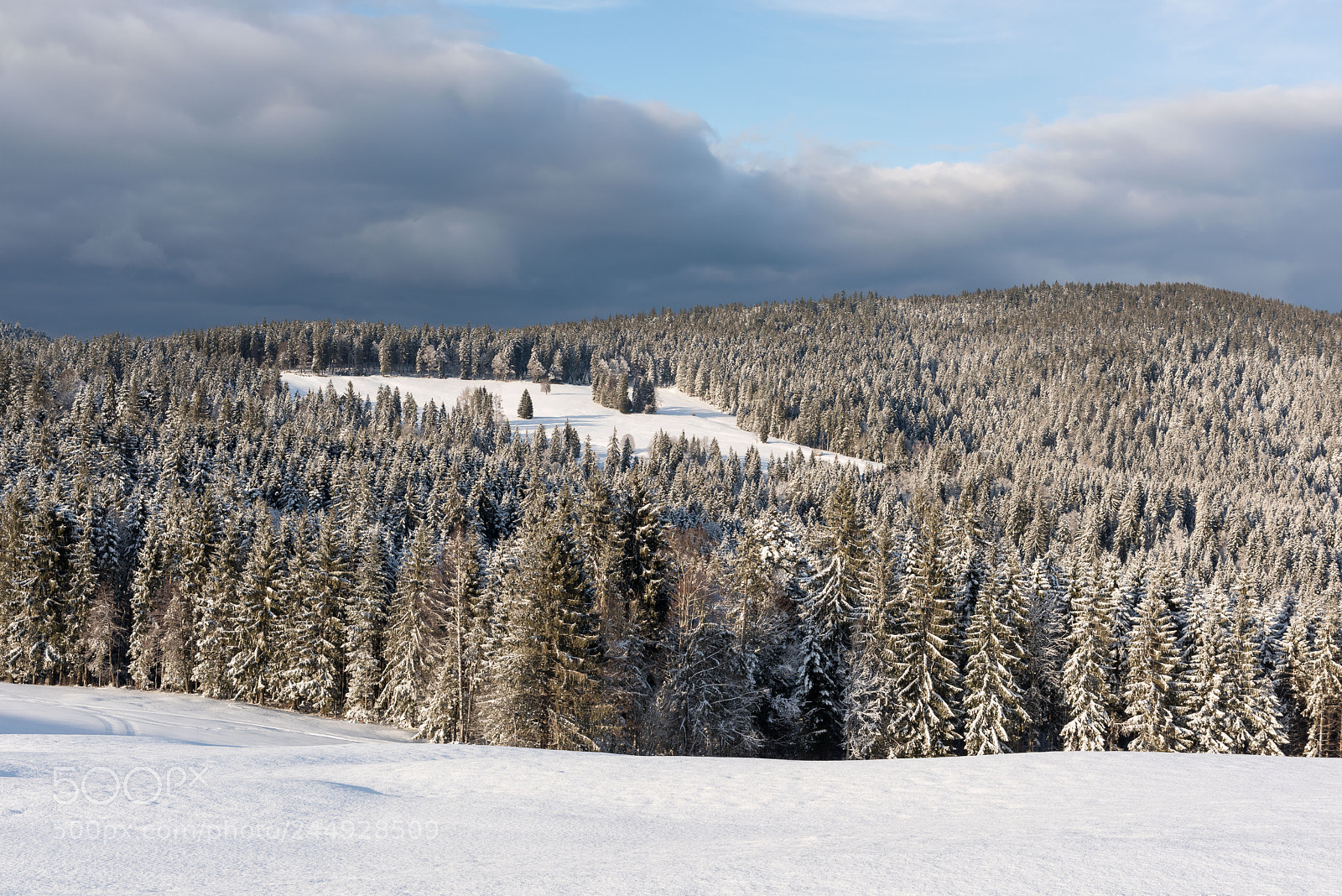 Nikon D810 sample photo. Winter afternoon photography
