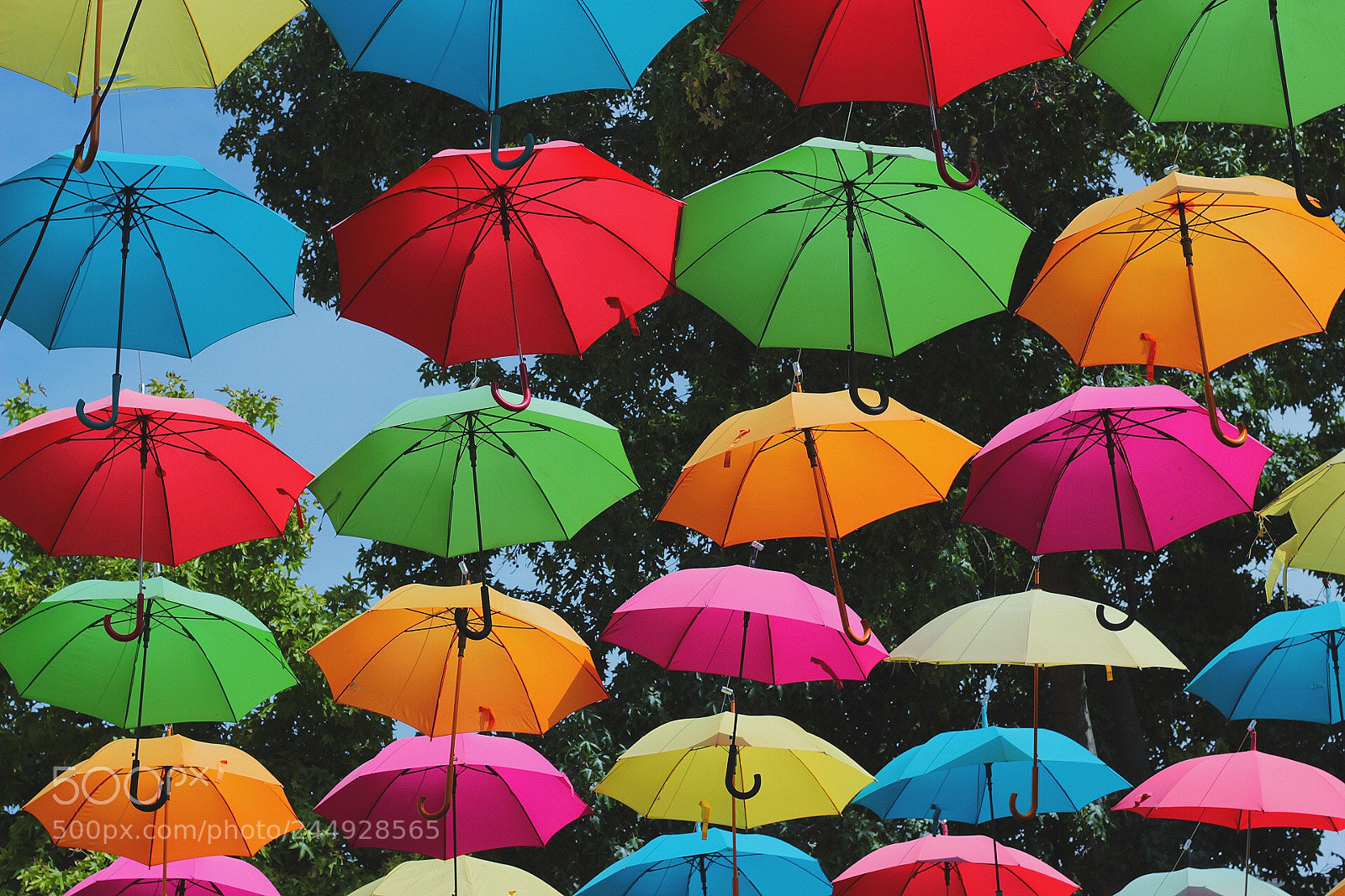 Canon EOS 1300D (EOS Rebel T6 / EOS Kiss X80) sample photo. Umbrella display in saumur photography