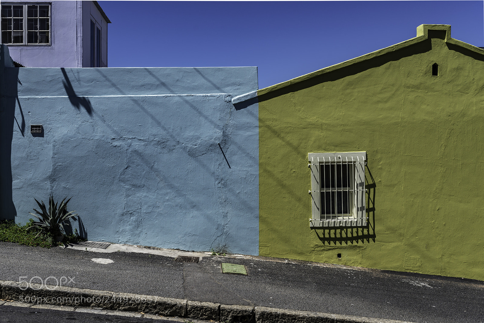Nikon D800 sample photo. Untitled photography
