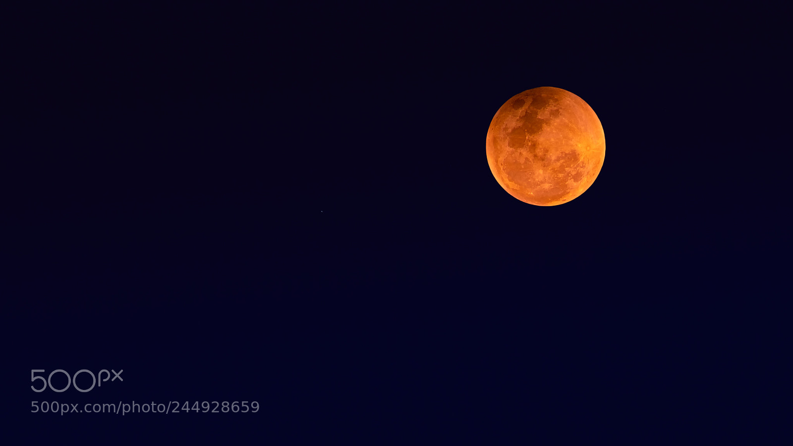 Nikon D3400 sample photo. Super blue blood moon photography