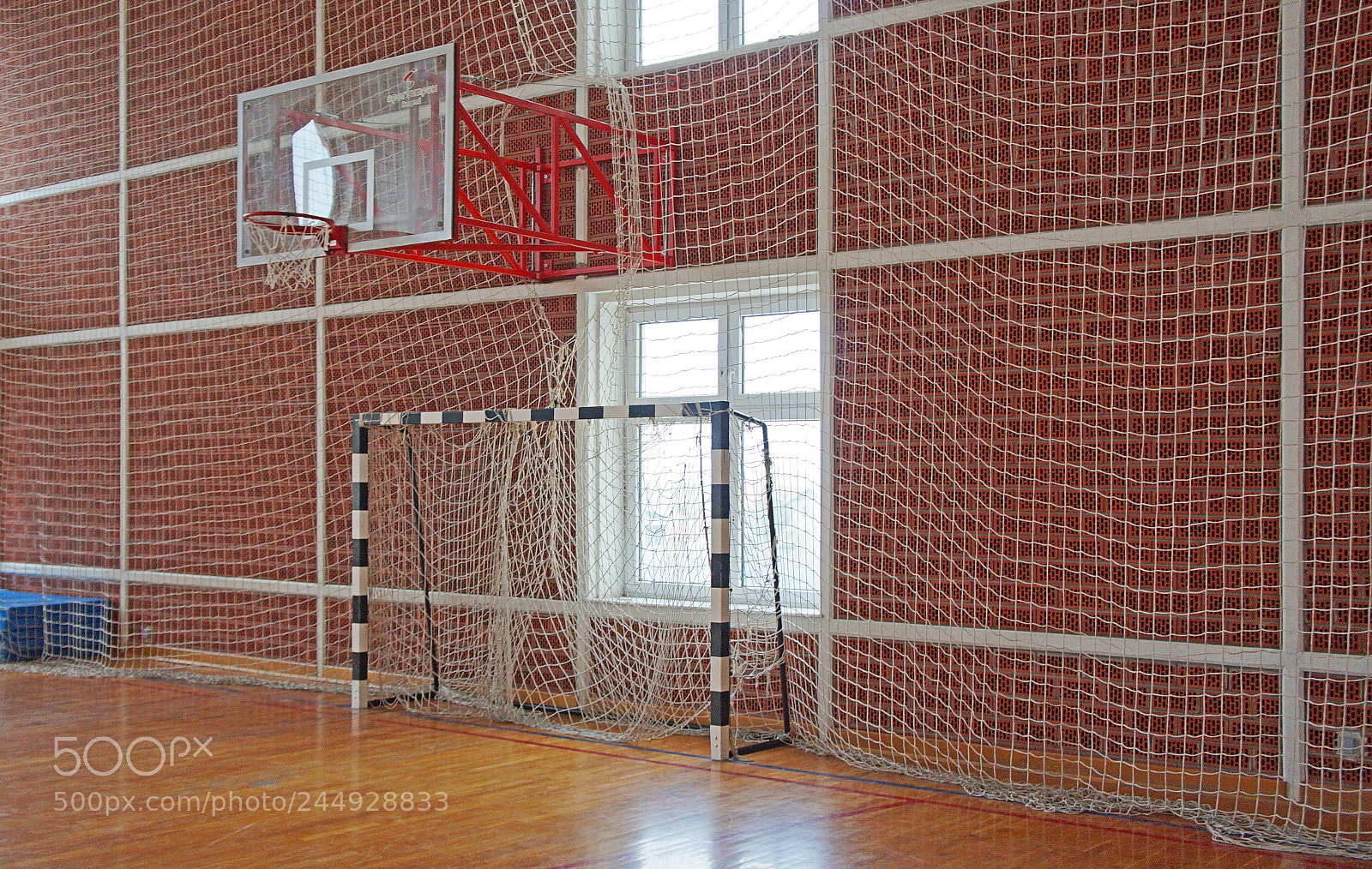Sony Alpha a3000 sample photo. Sport gym hall photography
