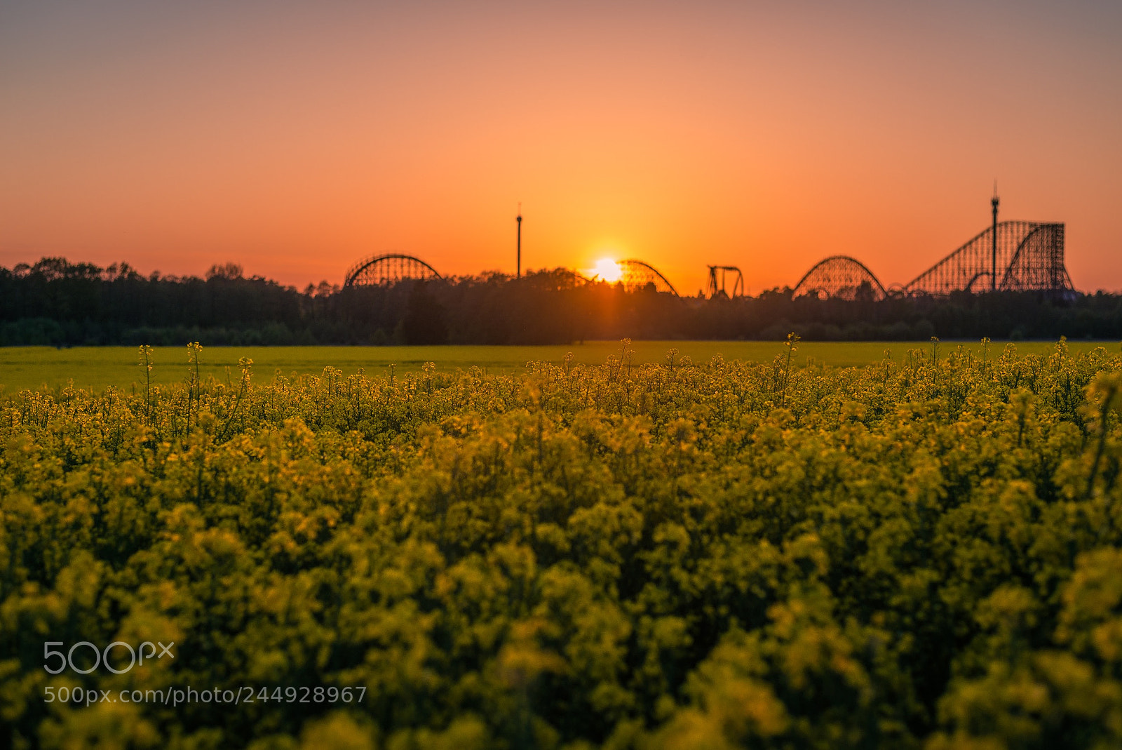 Nikon D610 sample photo. Colossos heide park soltau photography