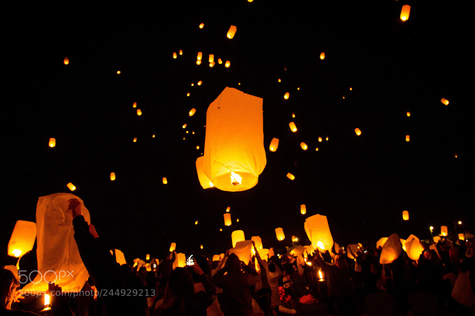Canon EOS 60D sample photo. Light fest photography