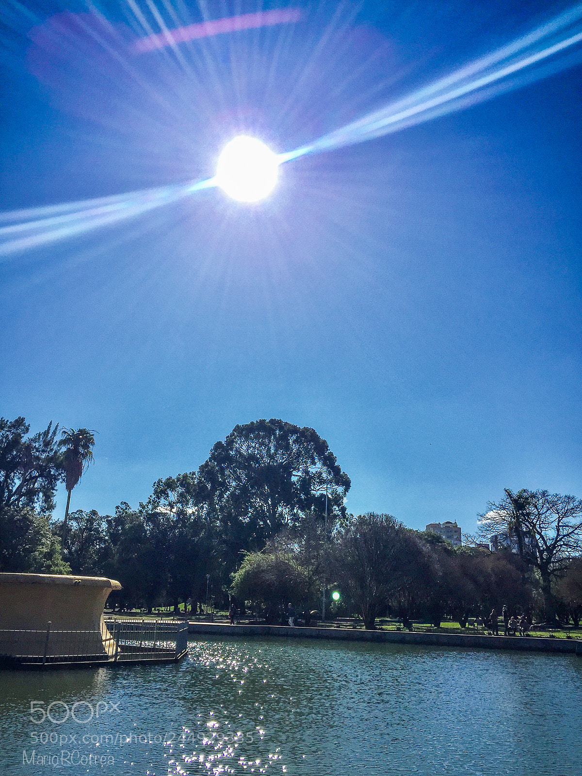 Apple iPhone 6 sample photo. Sol photography