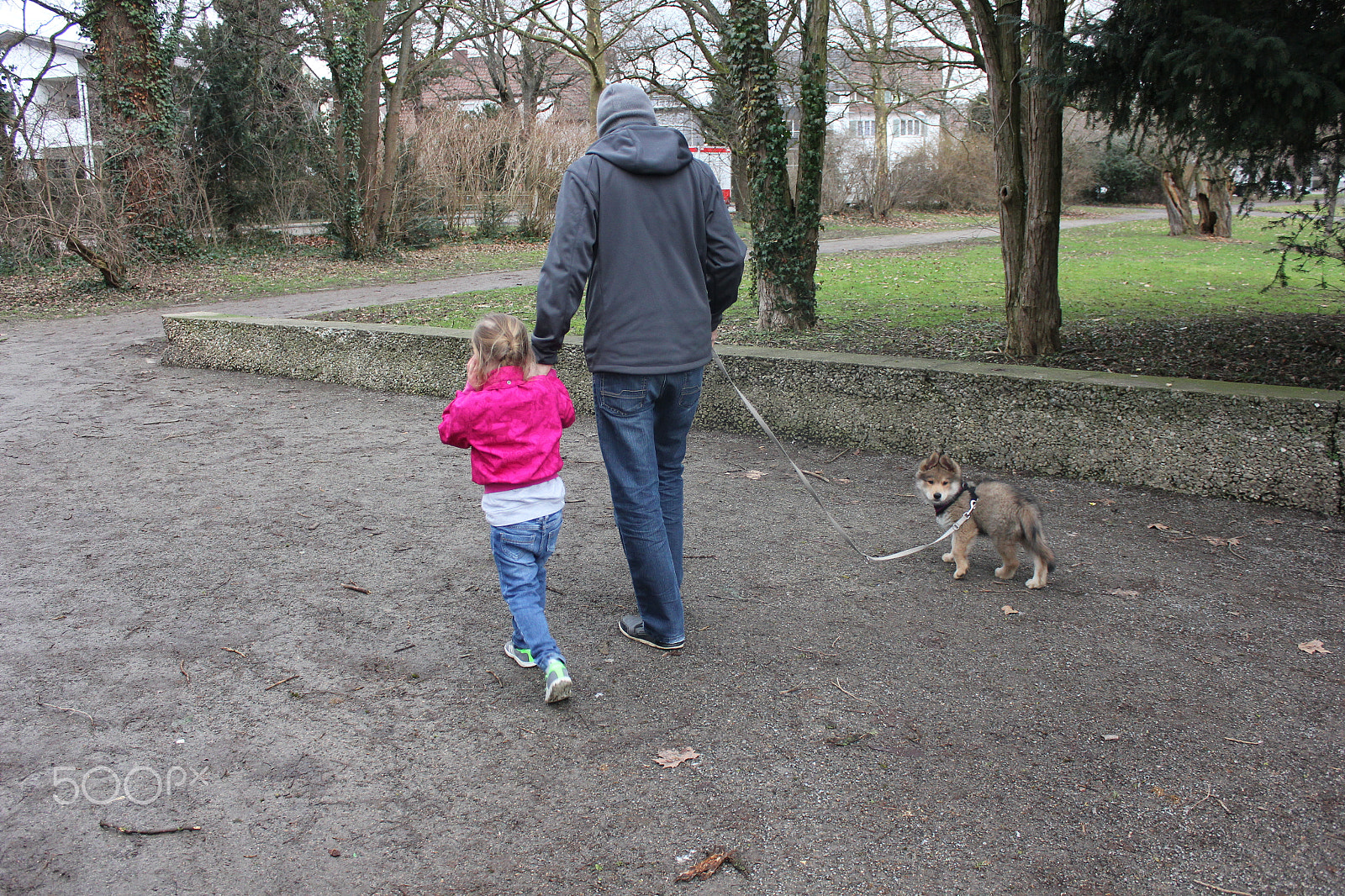 Canon EOS 550D (EOS Rebel T2i / EOS Kiss X4) sample photo. Sonntags spaziergeng im park mit akira photography