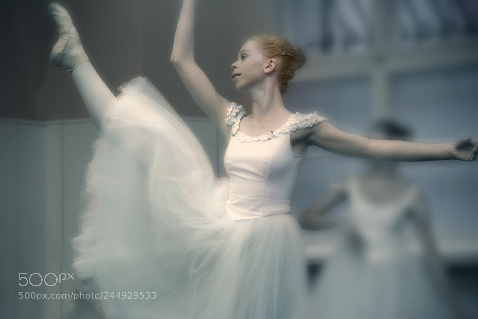 Nikon D800 sample photo. This waltz photography