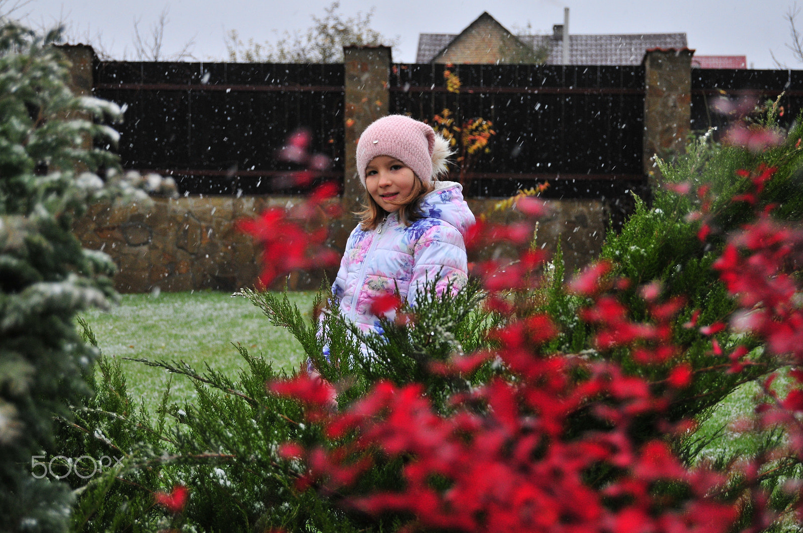 Nikon D300 sample photo. Let it snow photography