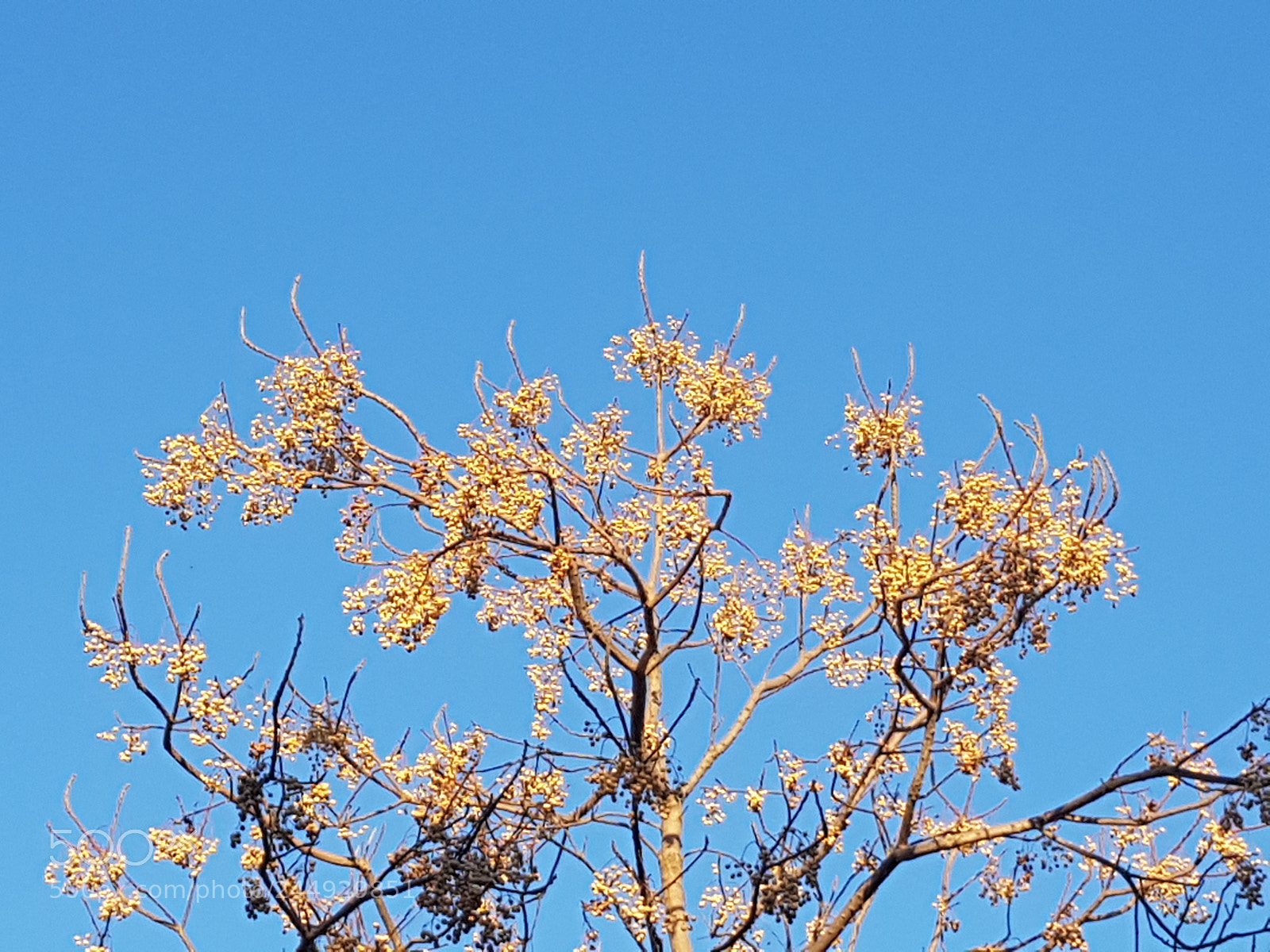 Samsung Galaxy S8+ sample photo. Untitled photography
