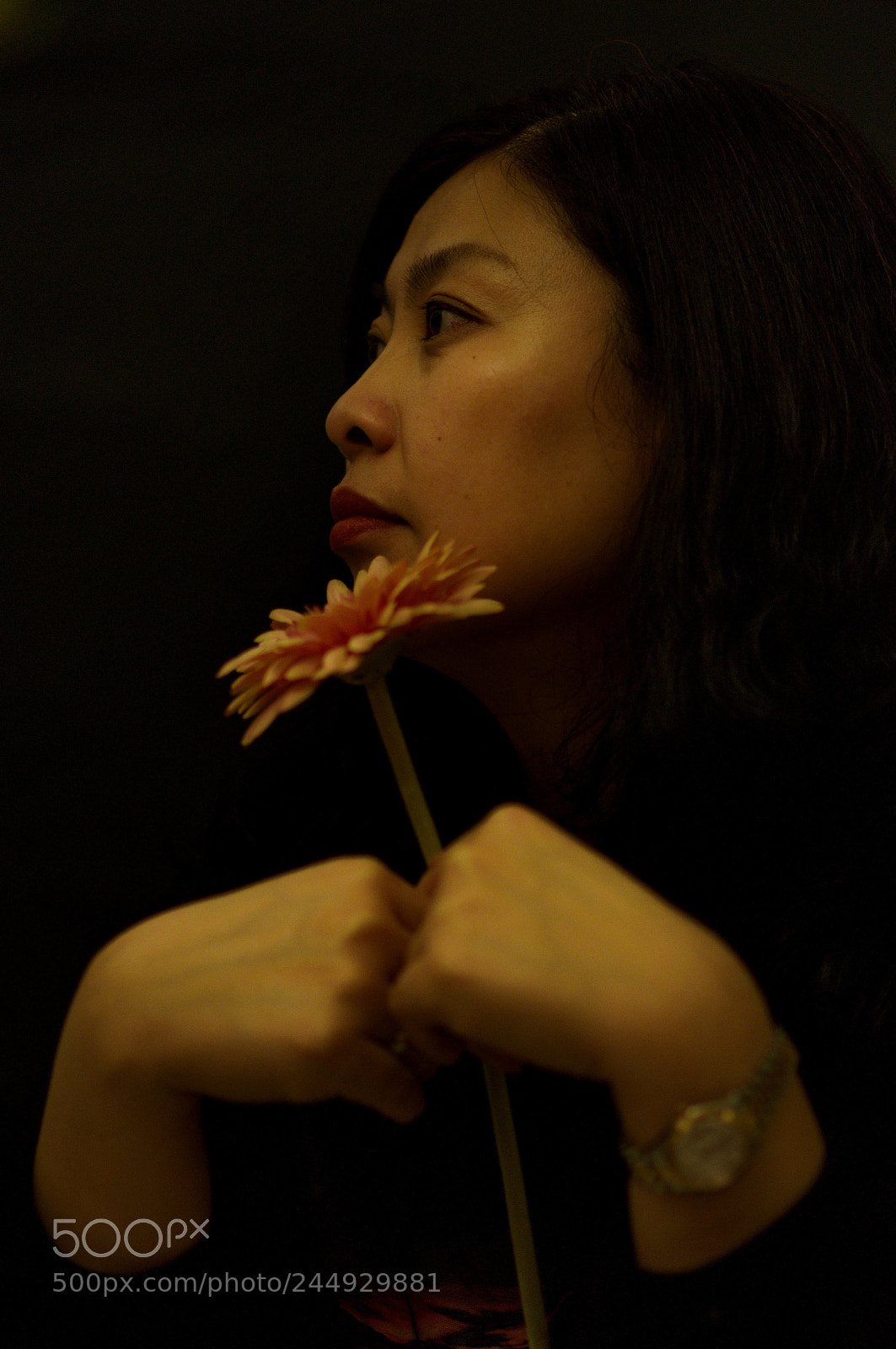 Nikon D90 sample photo. Untitled photography