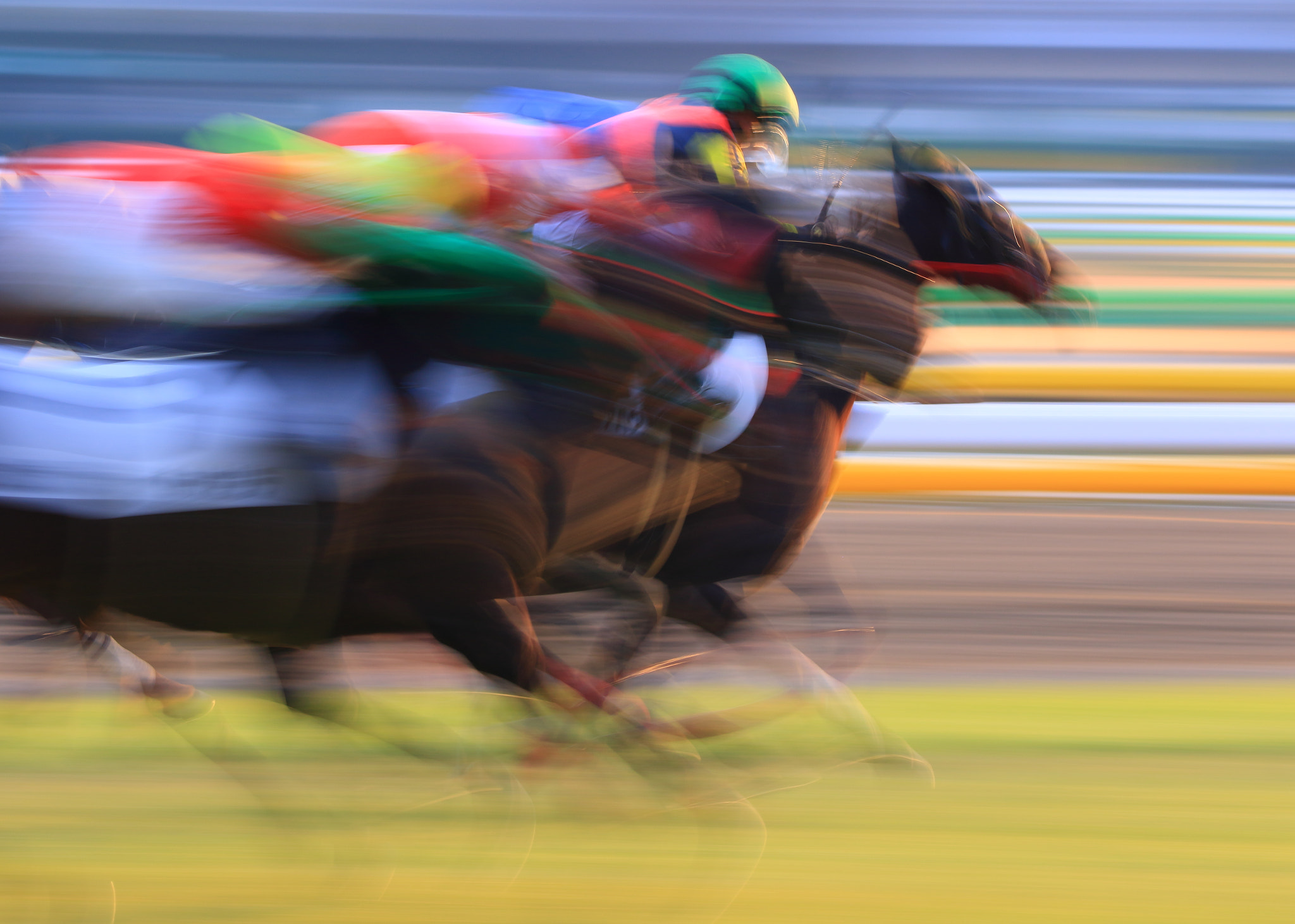 Sigma 150-600mm F5-6.3 DG OS HSM | C sample photo. Chase photography