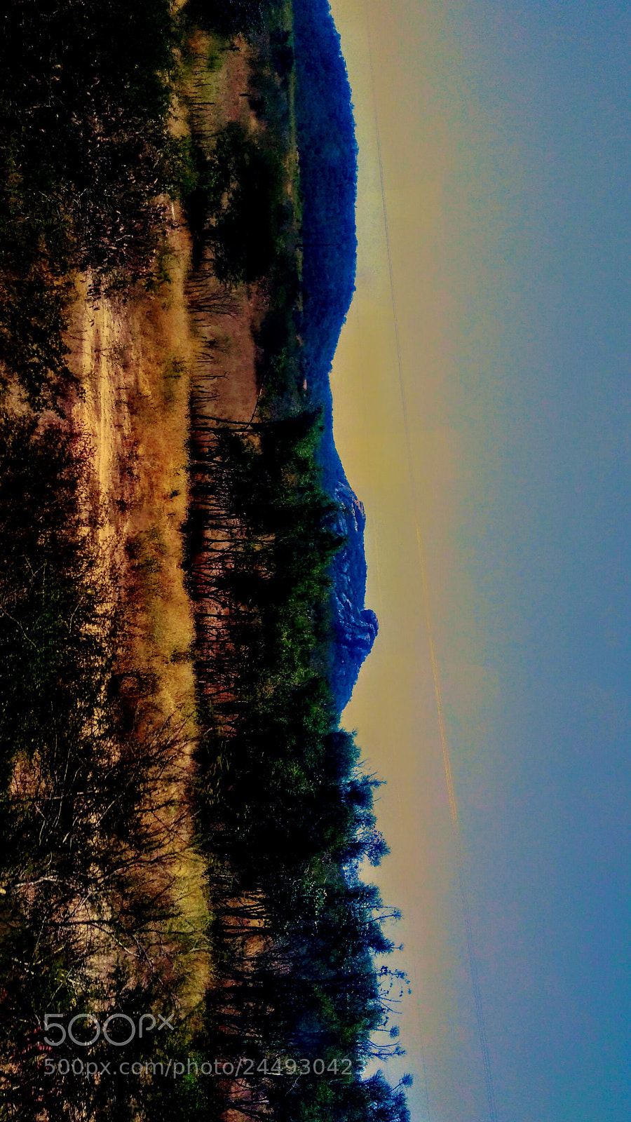 Motorola Moto G Play sample photo. Untitled photography