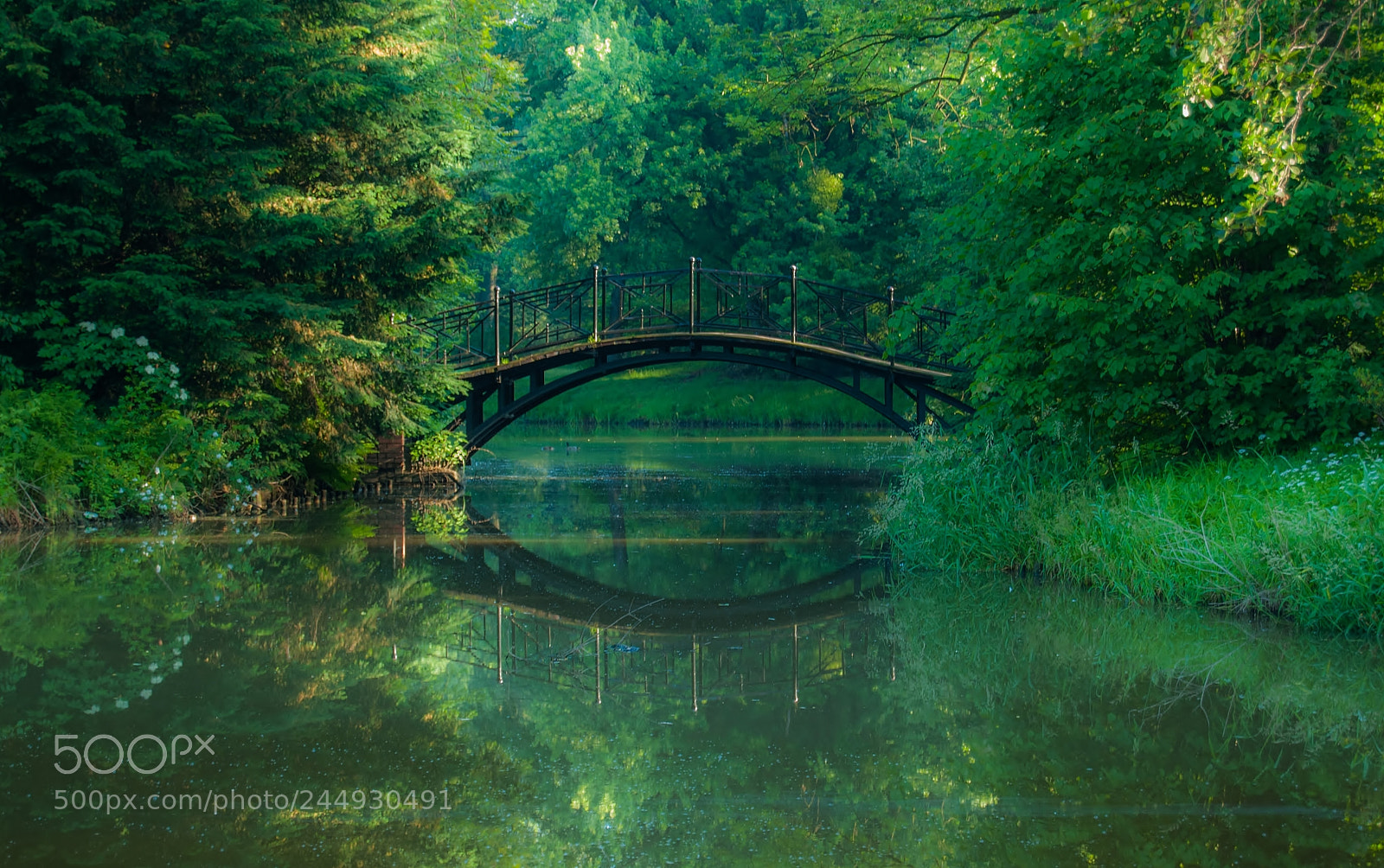 Nikon D60 sample photo. Bridge photography