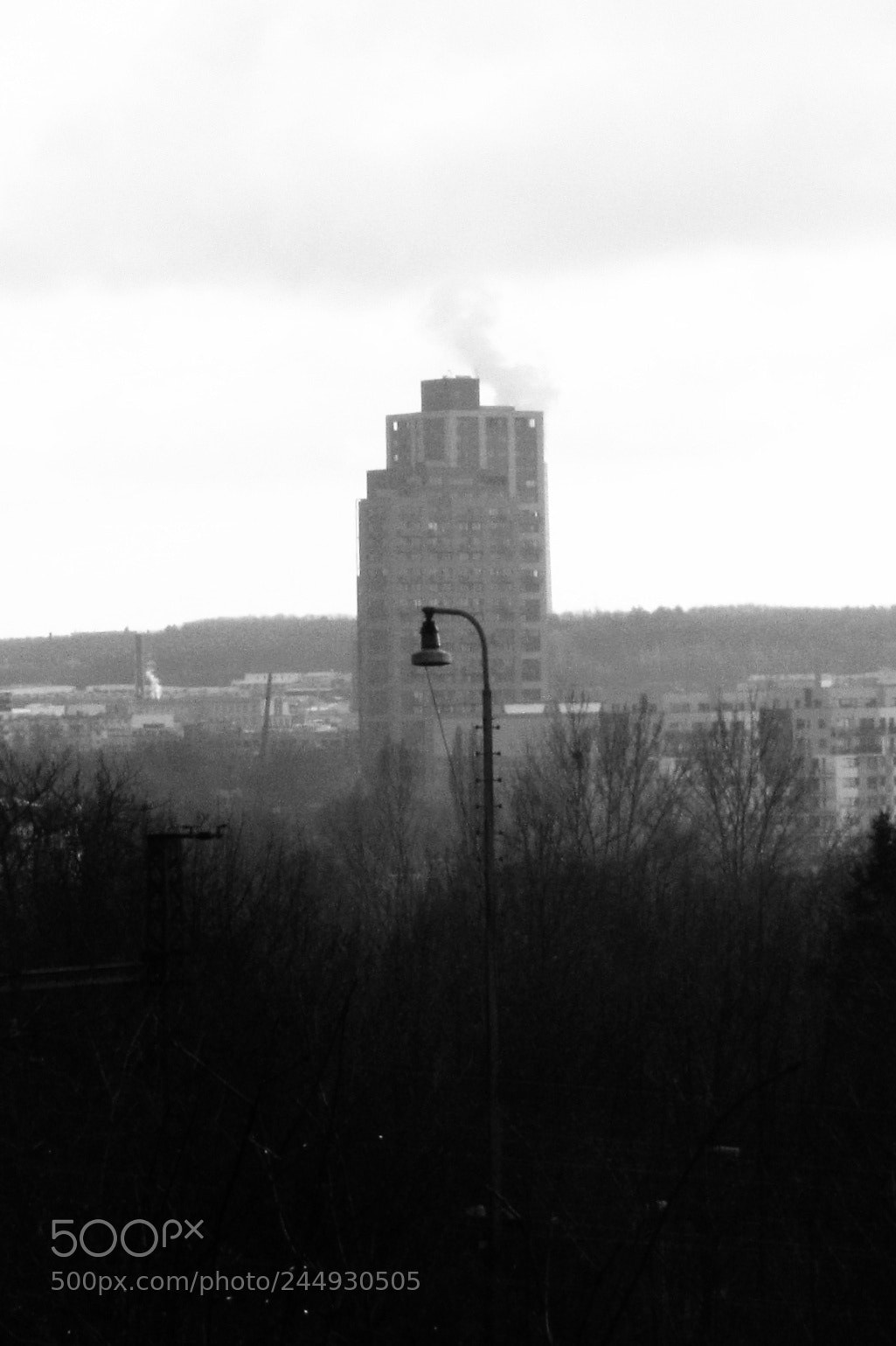 Canon PowerShot SX30 IS sample photo. Untitled photography