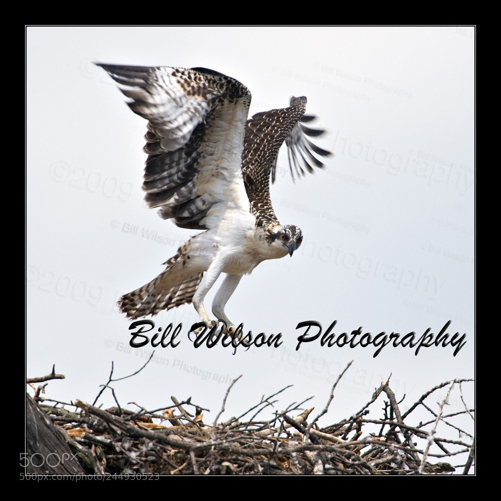 Nikon D3 sample photo. Flight training photography
