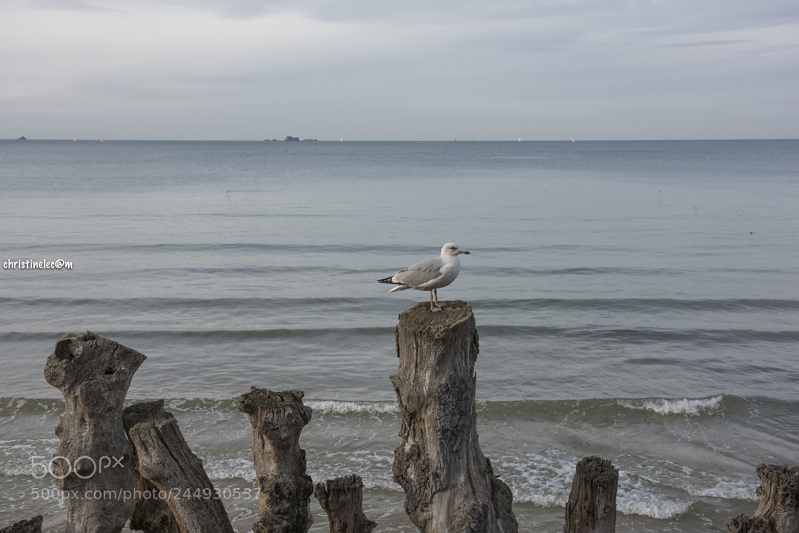 Nikon D810 sample photo. Saint malo - bretagne photography