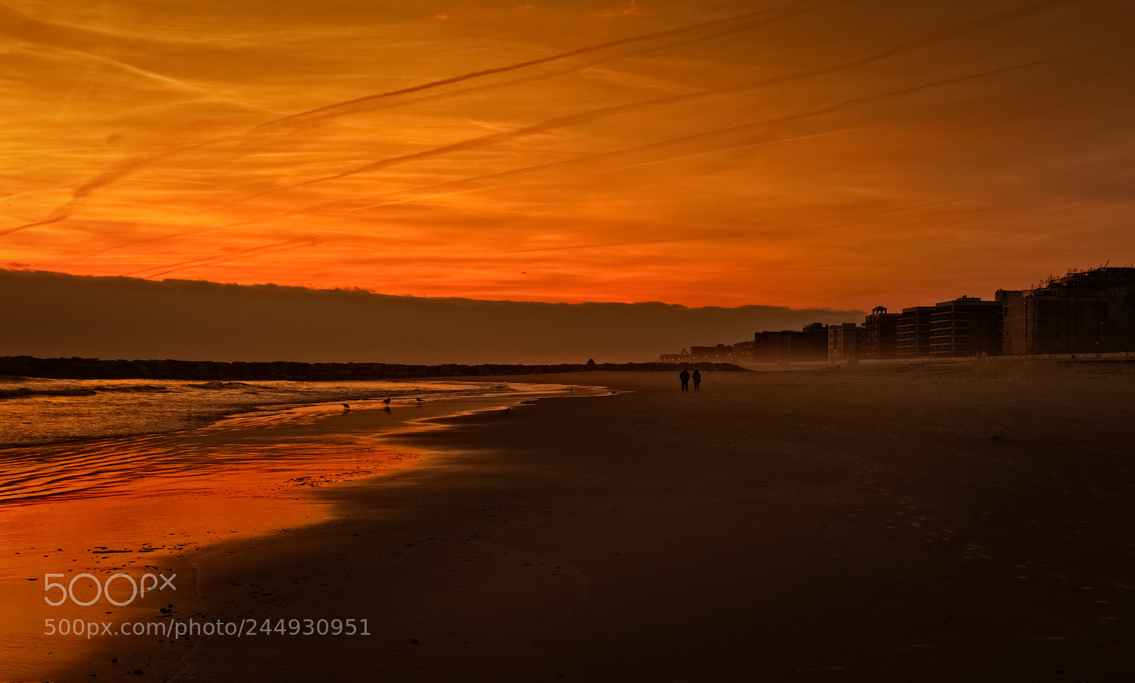 Nikon D810 sample photo. Walking into the sunset photography