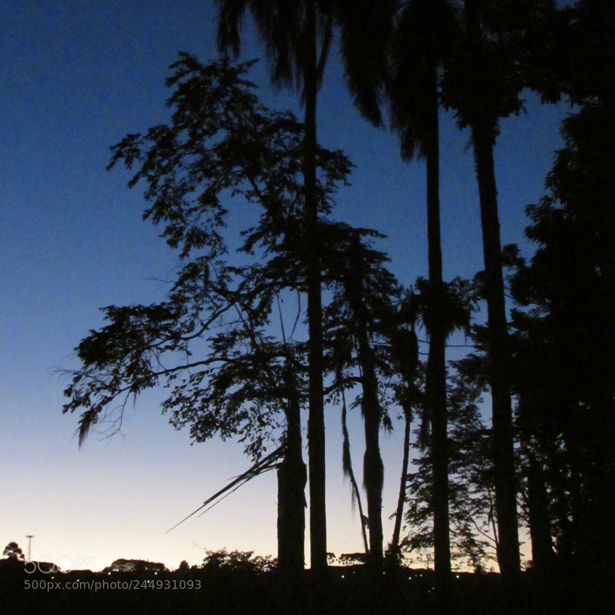 Canon PowerShot SX500 IS sample photo. Nature photography