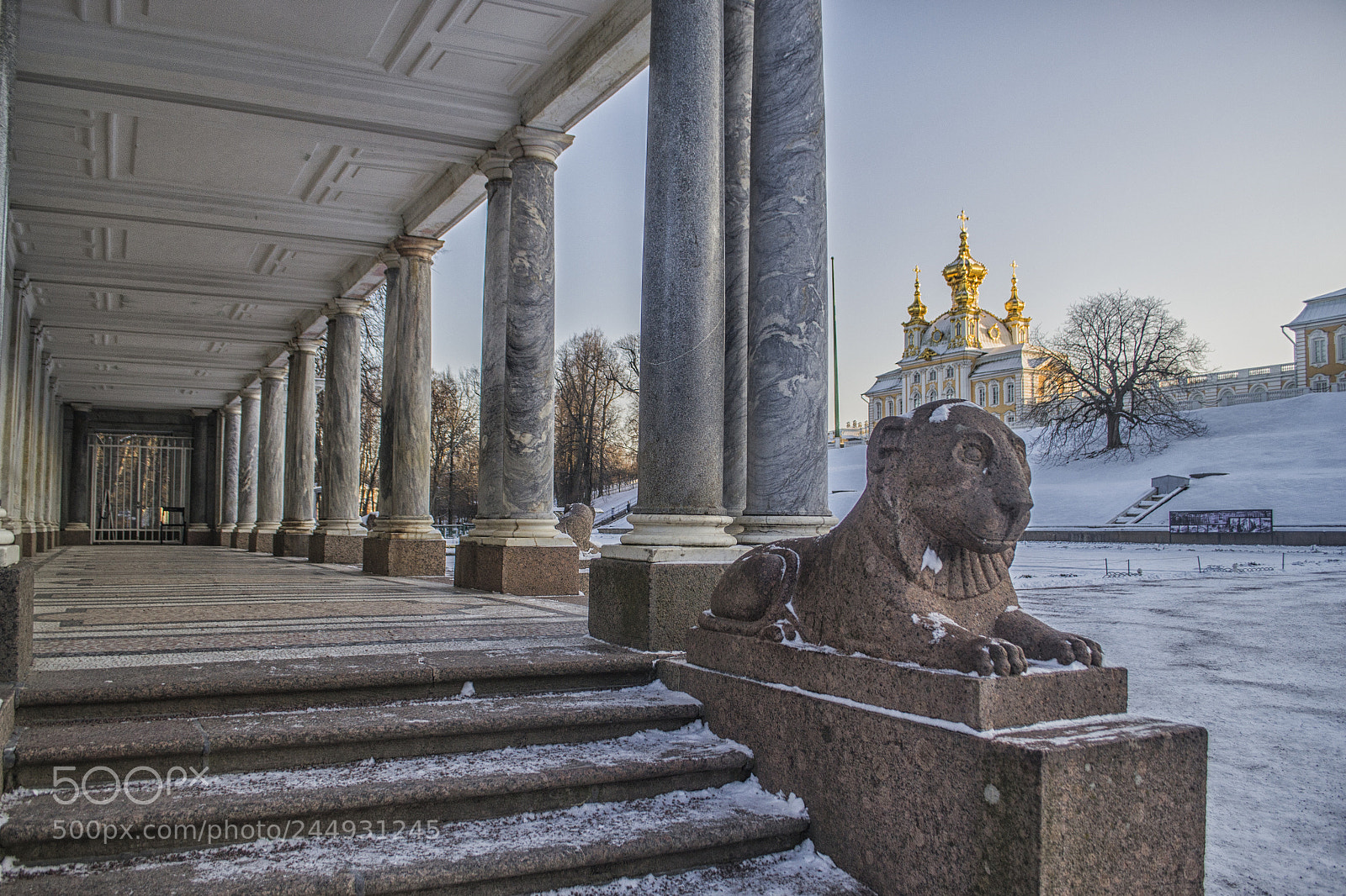 Nikon D3100 sample photo. Петродворец photography