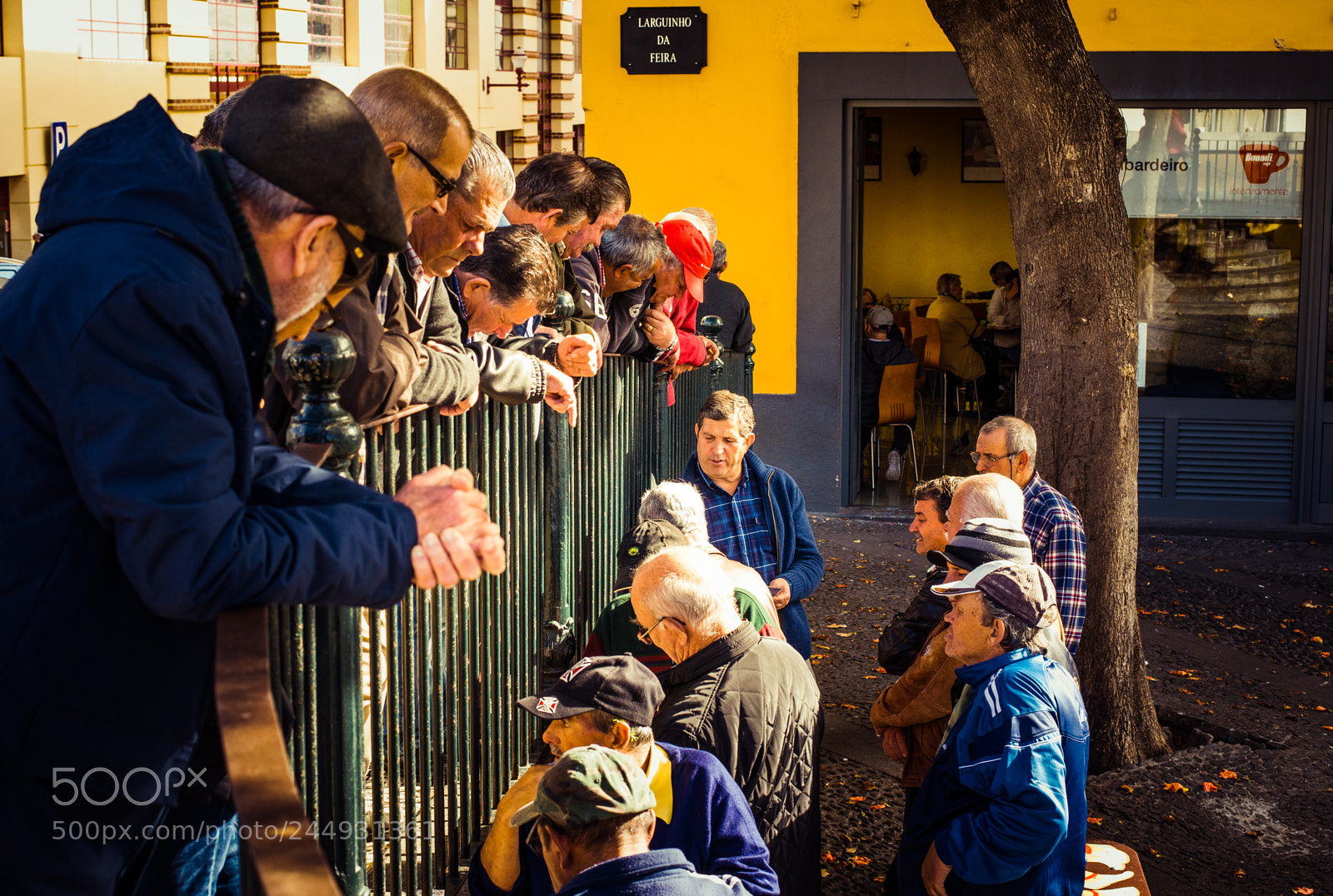 Nikon D800 sample photo. Madeira photography