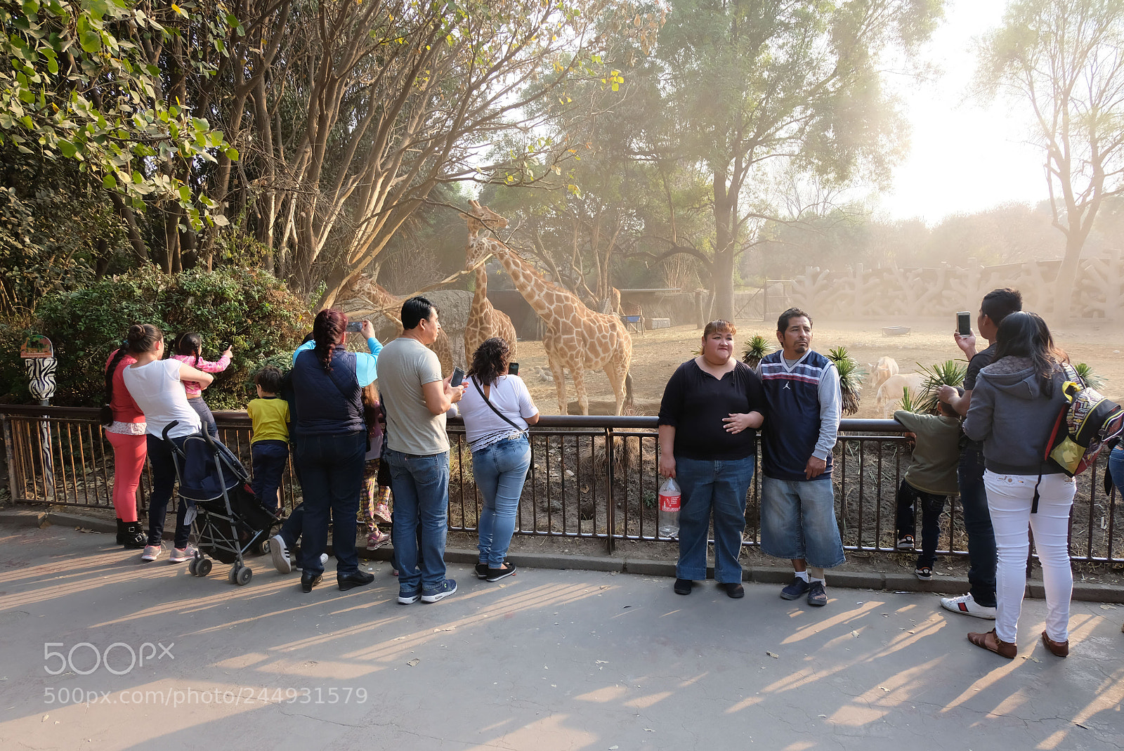 Fujifilm X-T20 sample photo. Chapultepec photography