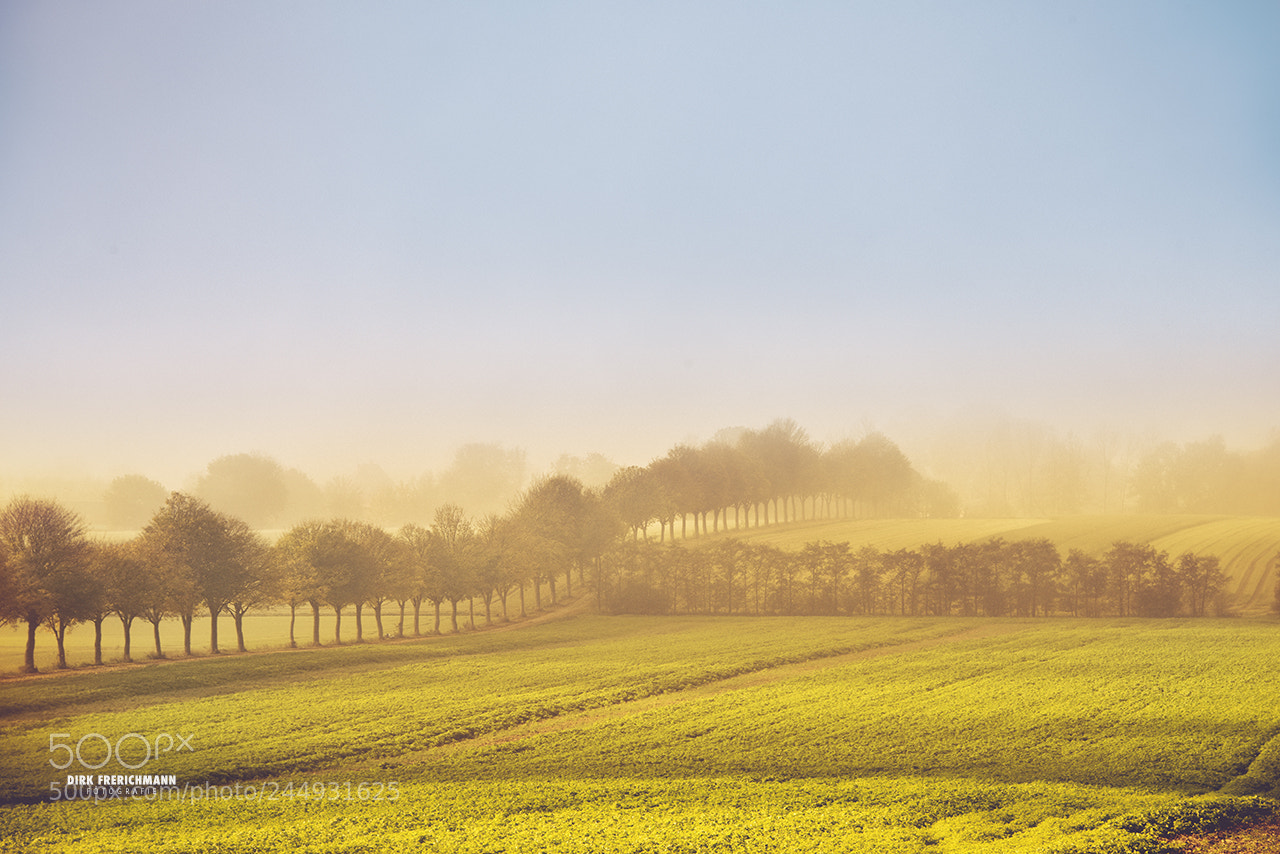 Nikon D810 sample photo. Baumberge 2 photography