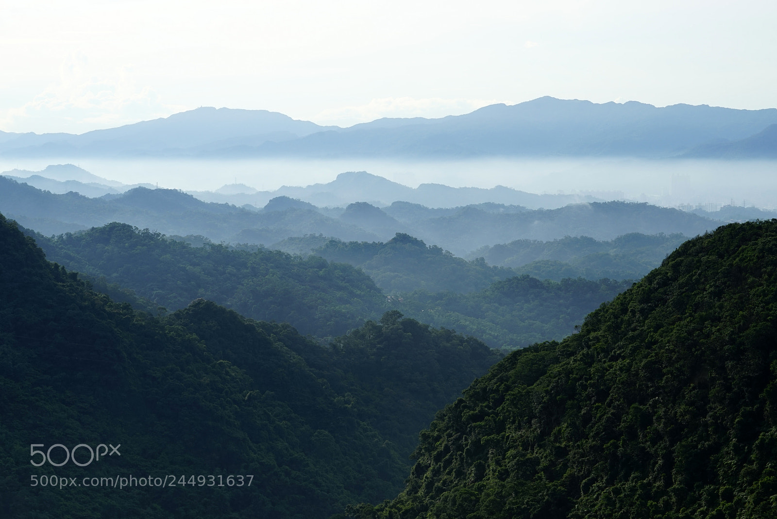 Sony a7 sample photo. Neihu district， taipei photography