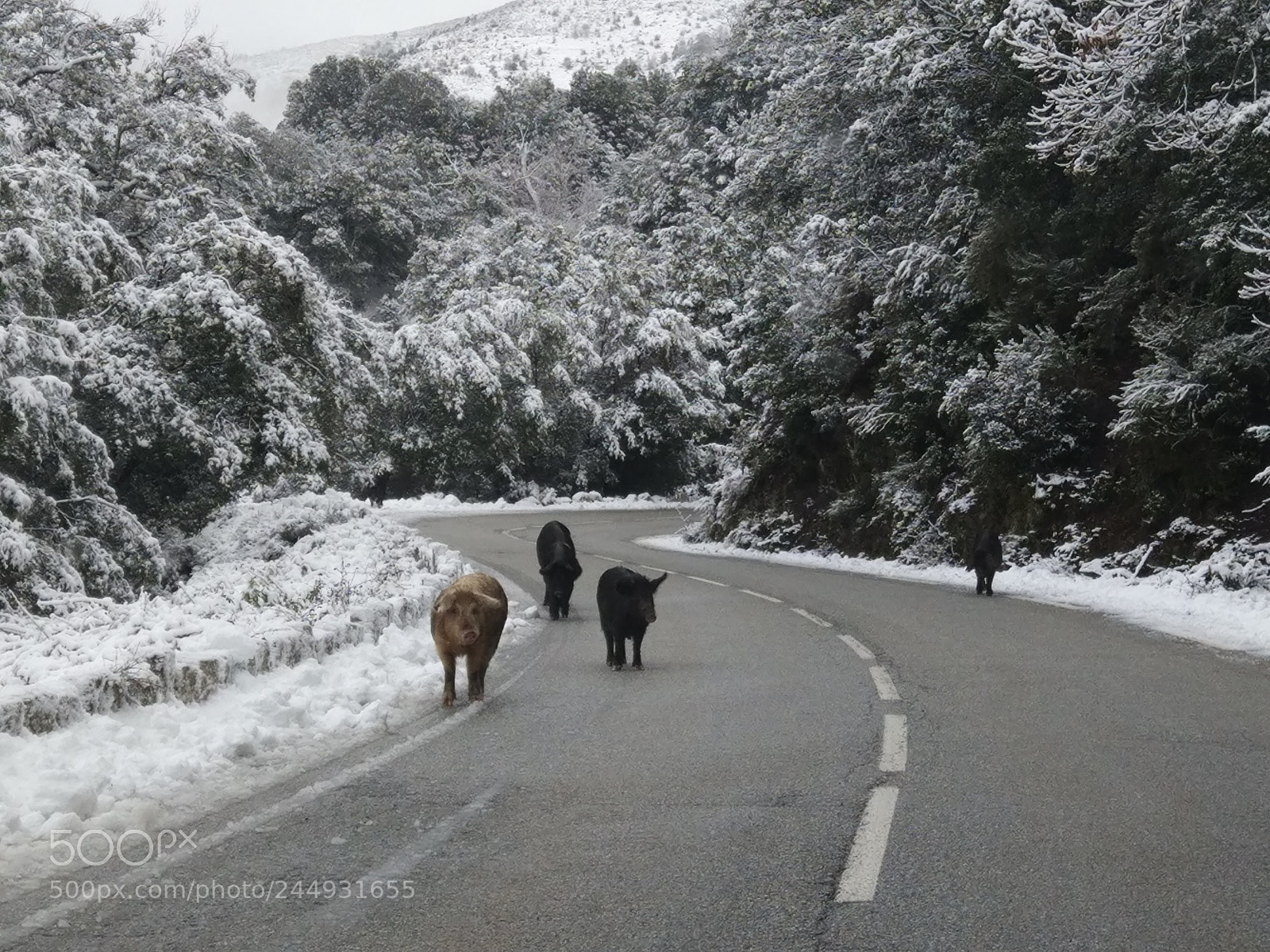 Xiaomi MI 5s sample photo. Invierno en córcega photography