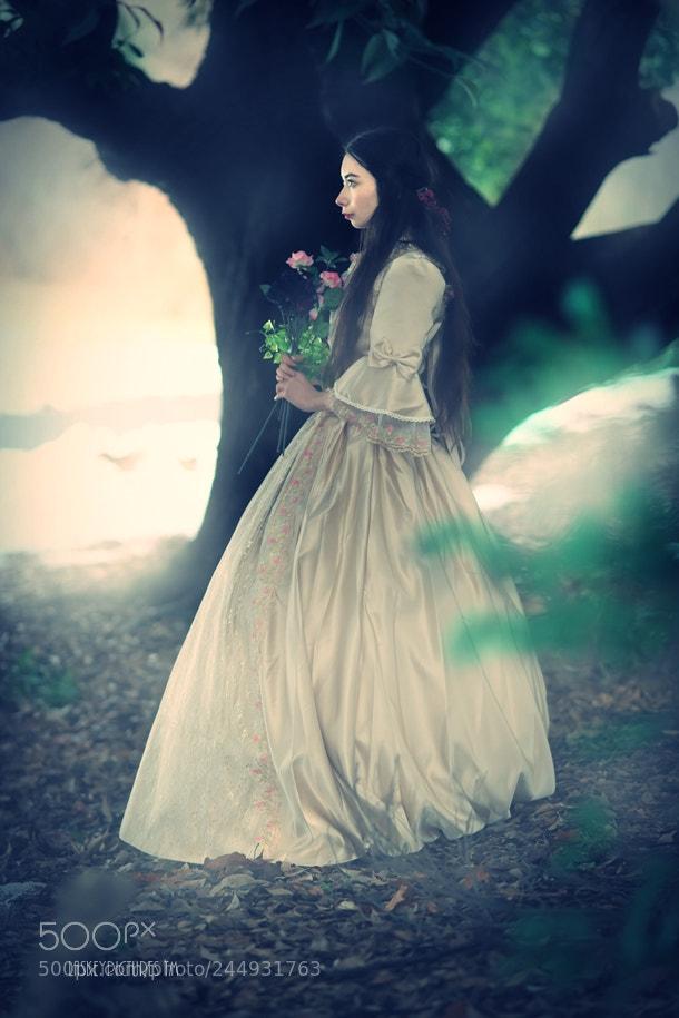 Nikon D850 sample photo. Forest of fairlytale photography