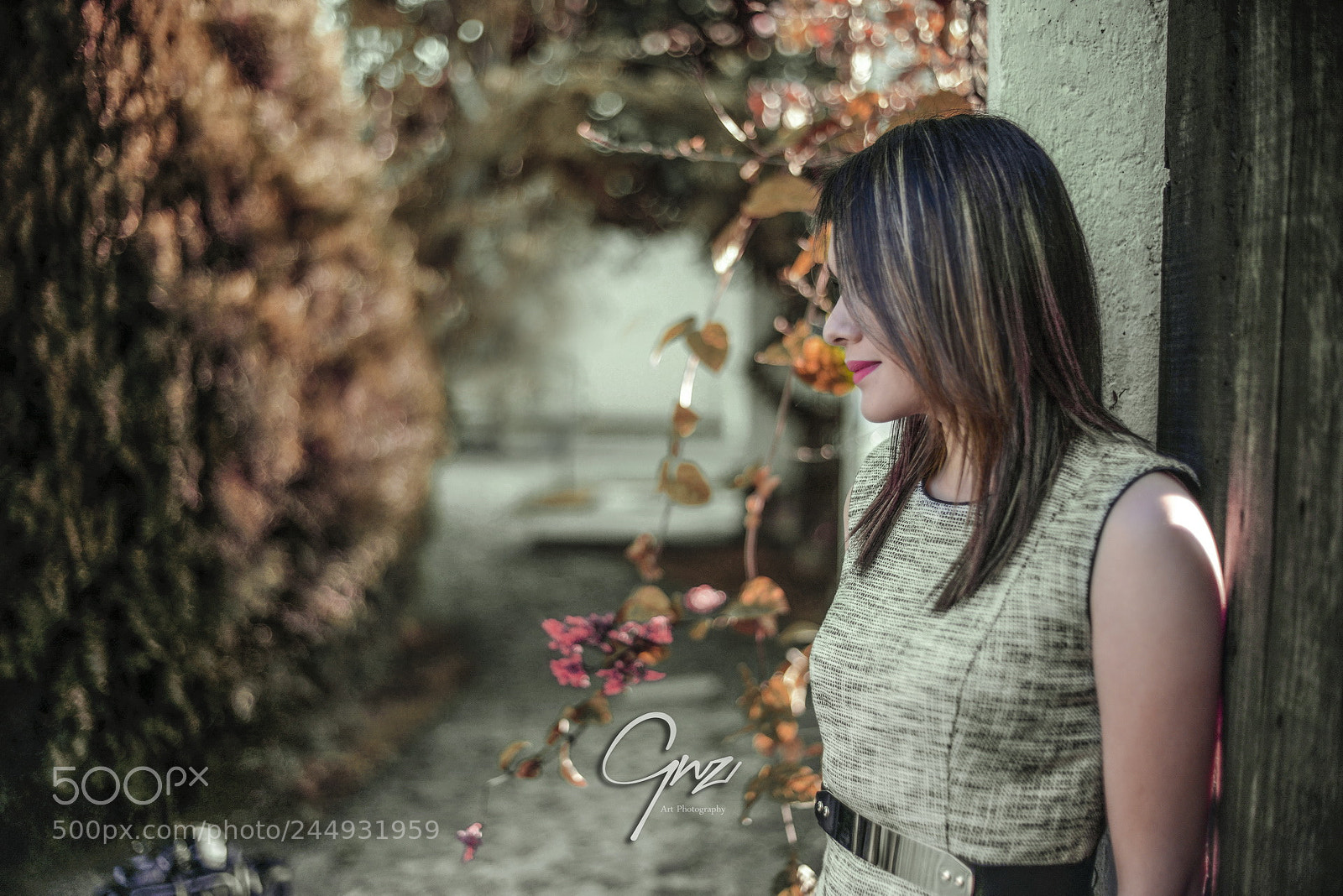 Nikon D800E sample photo. Afternoon photography