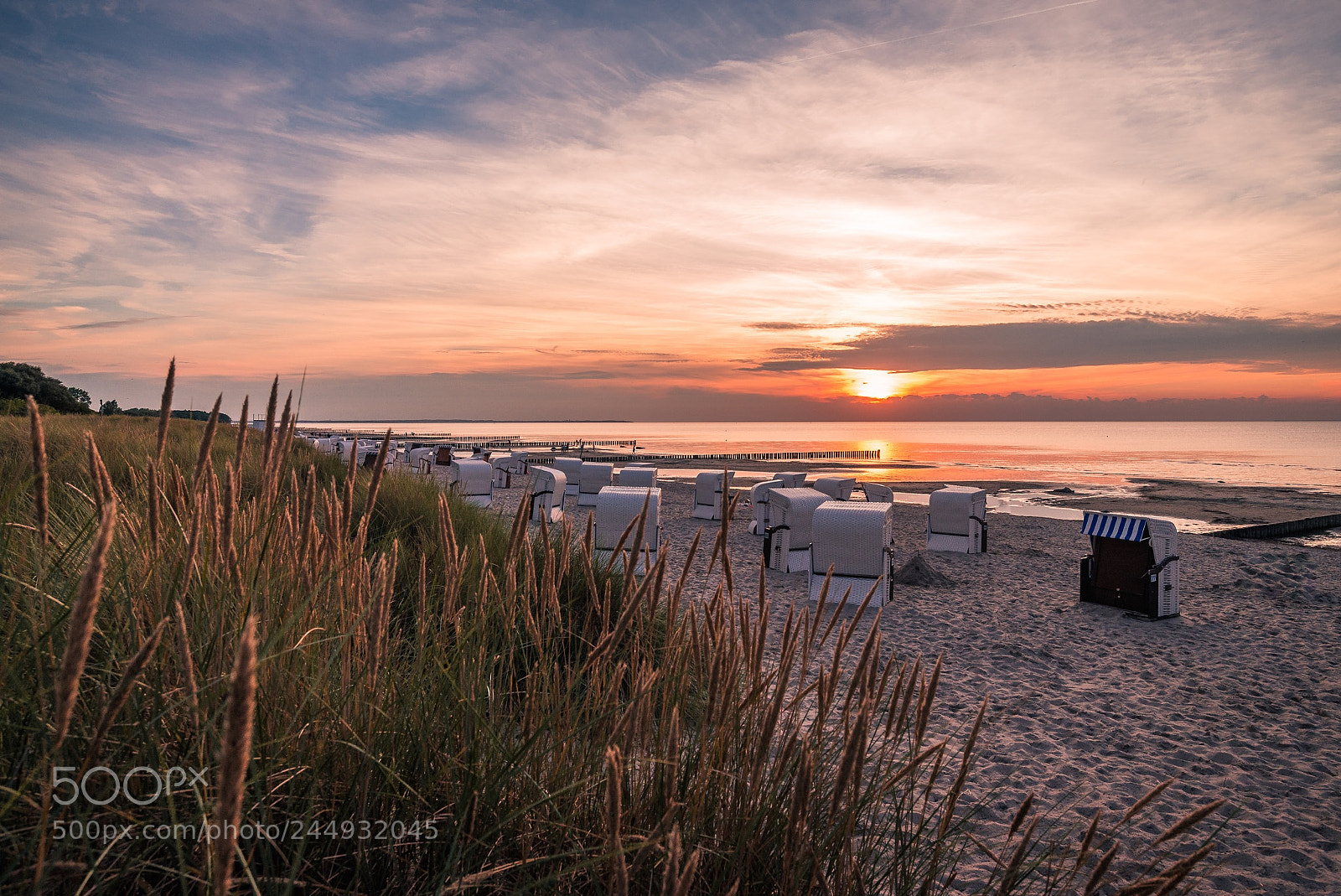 Nikon D610 sample photo. Insel poel photography