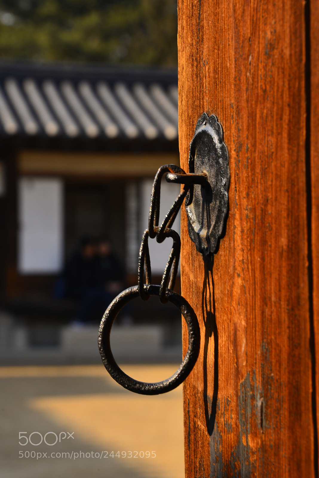 Nikon D610 sample photo. Untitled photography