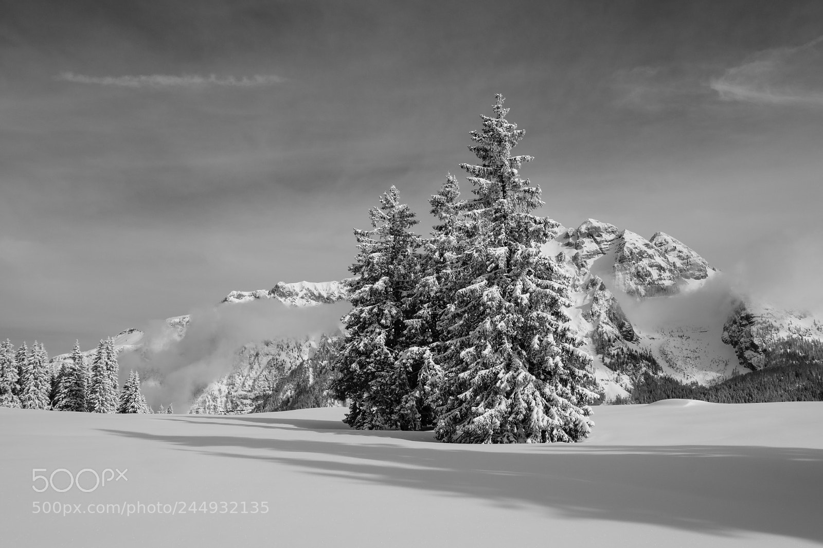 Fujifilm X-T2 sample photo. Winter wonderland ii photography