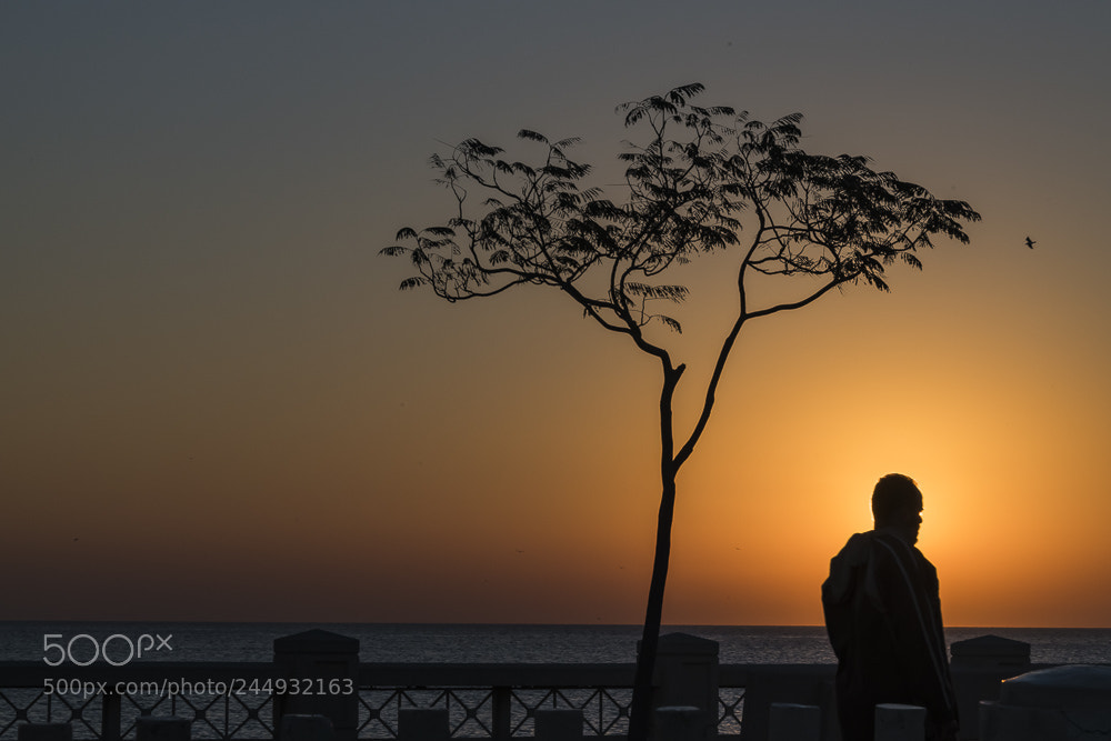 Nikon D850 sample photo. Khobar corniche photography