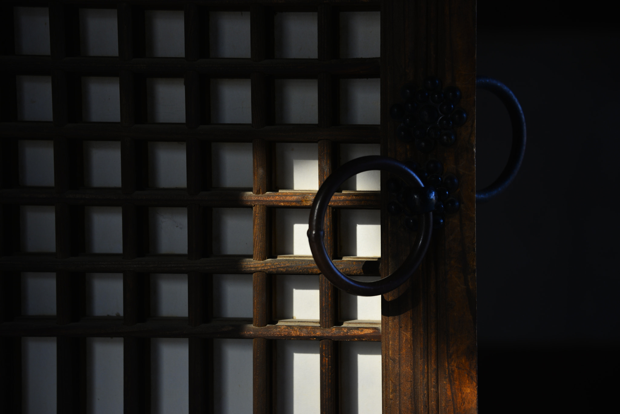Nikon D610 sample photo