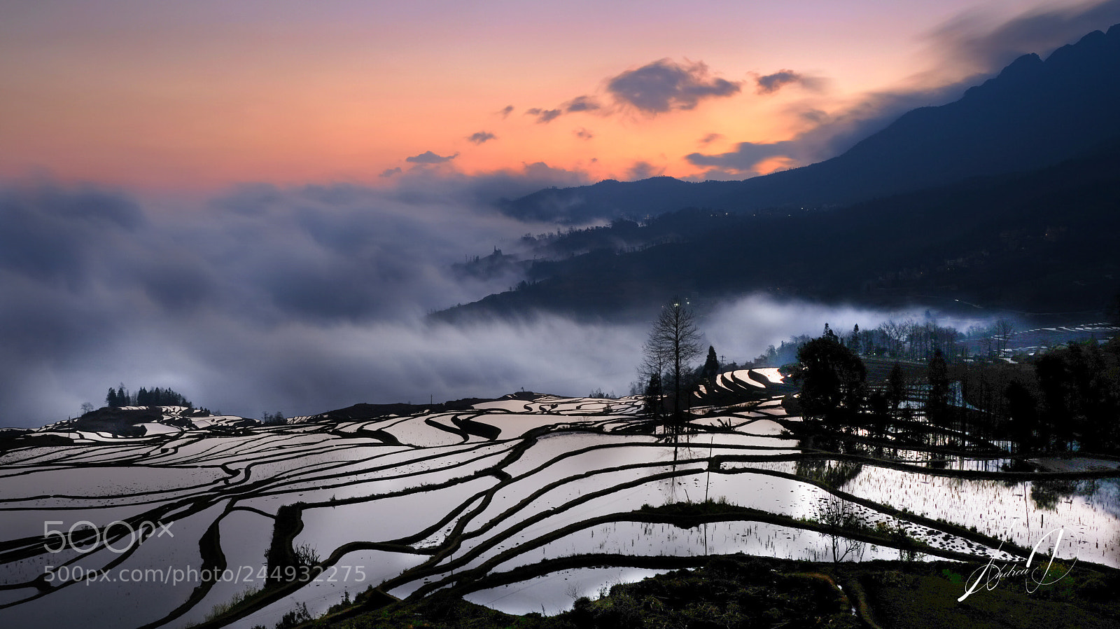 Fujifilm X-T2 sample photo. Rice terrace photography