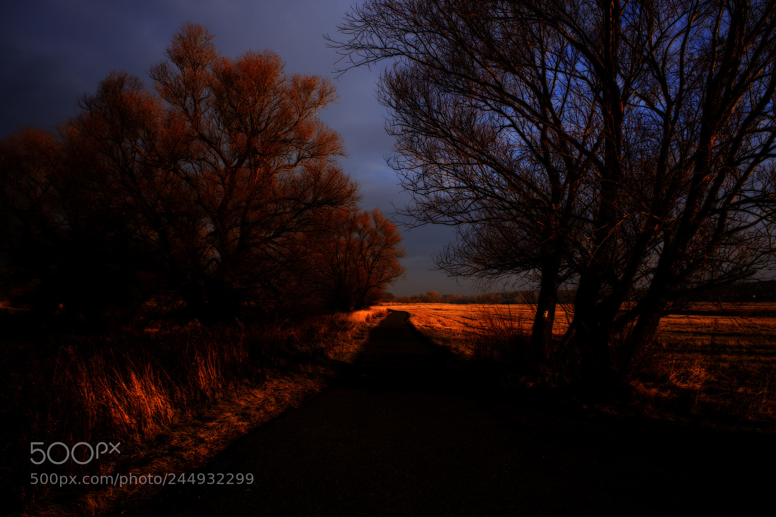 Sony a7 sample photo. Road photography