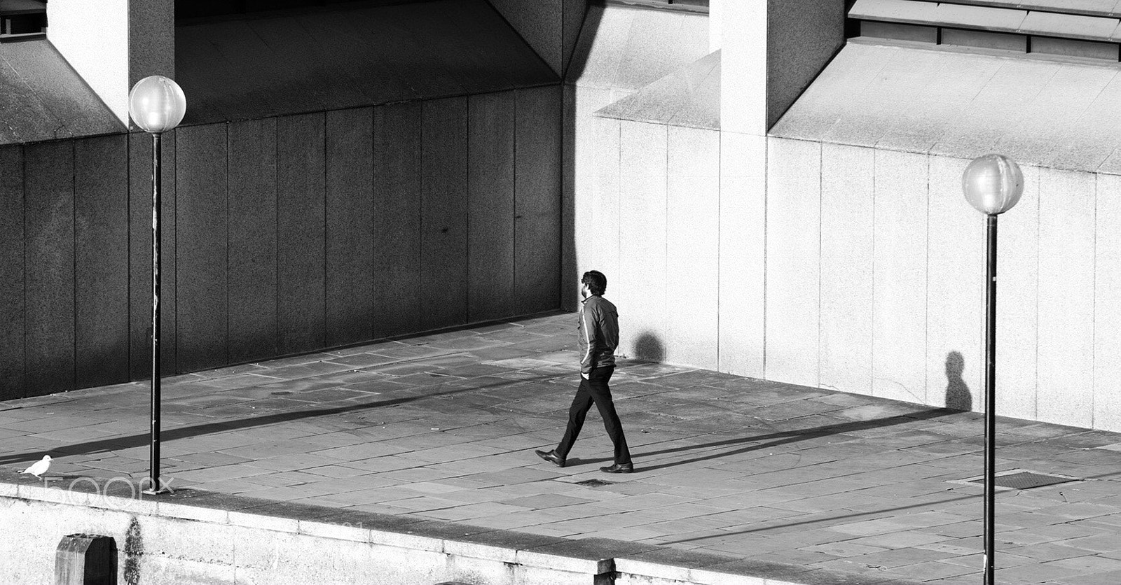 Nikon D810 sample photo. Long shadows photography