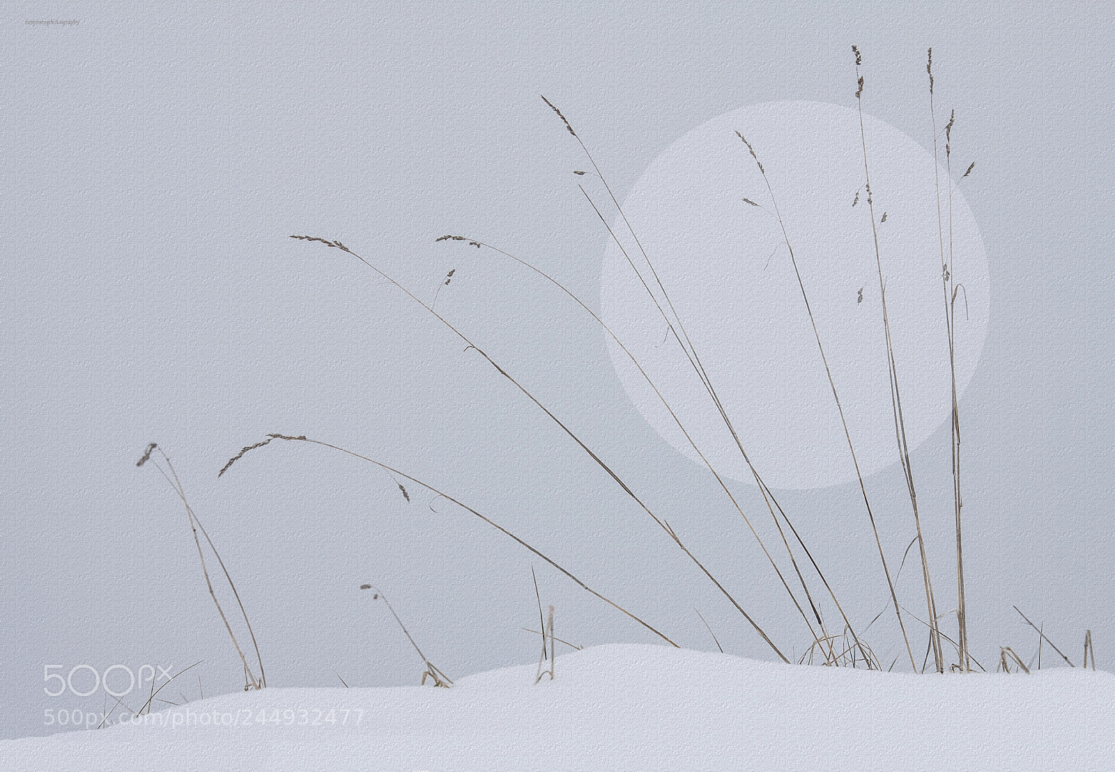 Canon EOS 50D sample photo. Winter mornings photography