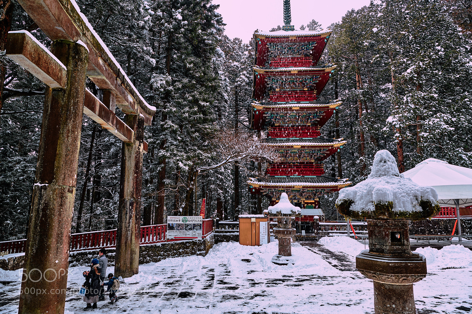 Nikon D850 sample photo. Shrine visit photography