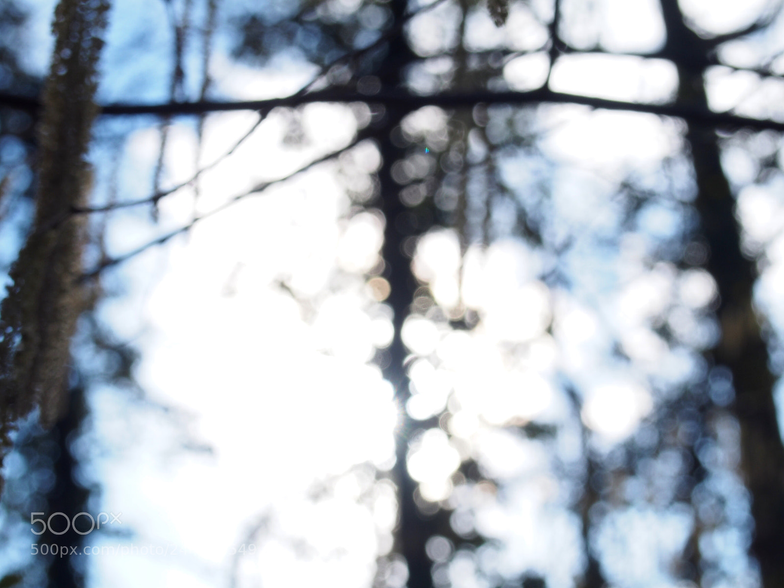 Olympus PEN E-PL6 sample photo. See you photography
