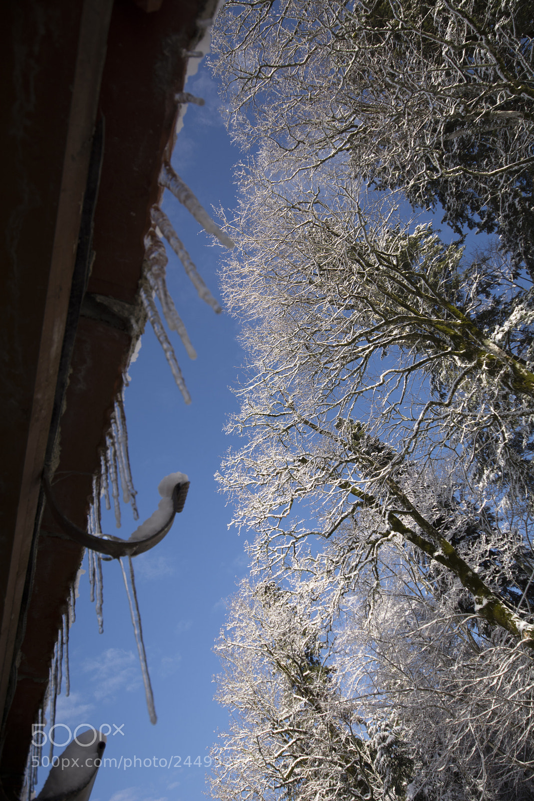 Nikon D7100 sample photo. Ice photography