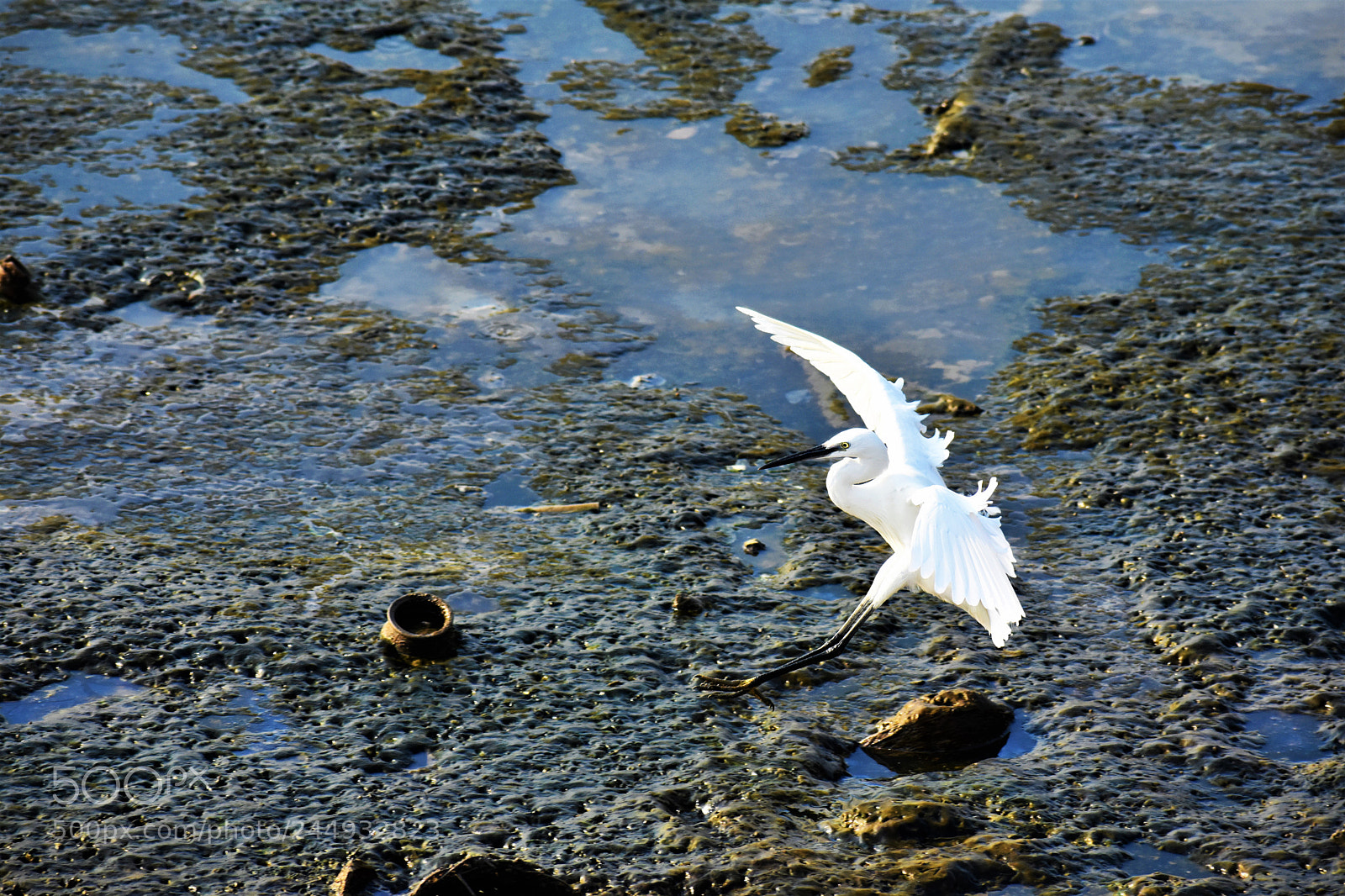Nikon D7200 sample photo. I am just gonna photography