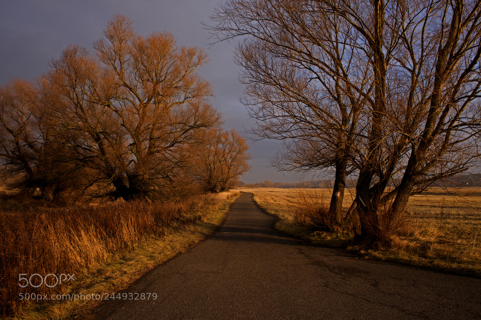 Sony a7 sample photo. Early morning photography