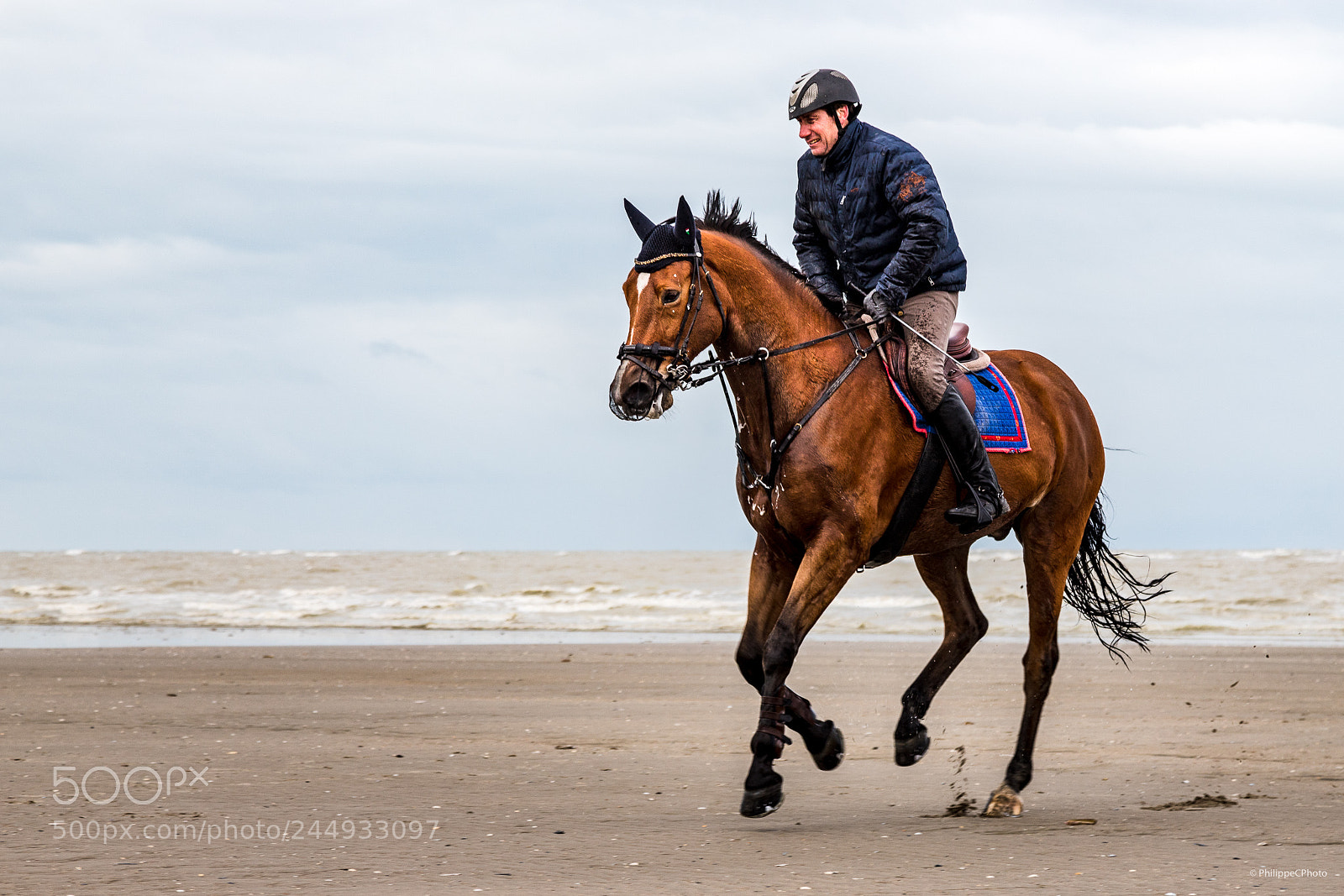 Canon EOS 6D Mark II sample photo. Cavailer sur la plage photography