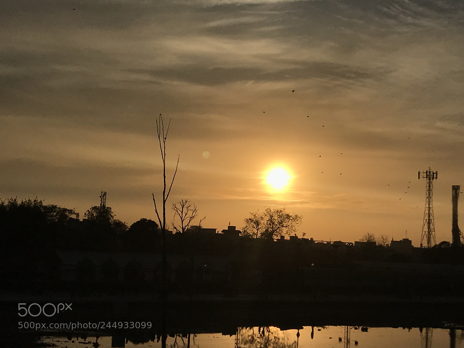 Apple iPhone 7 Plus sample photo. Sunset ,birds, landscape, trees photography