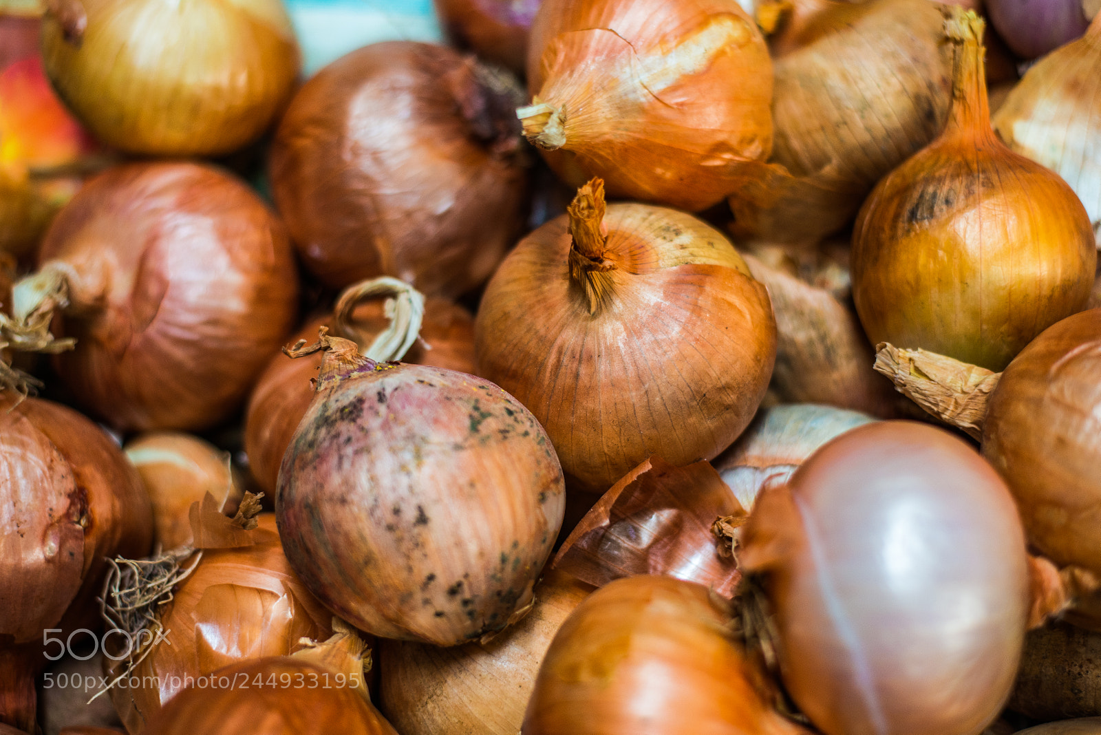 Nikon D800 sample photo. Madeira photography