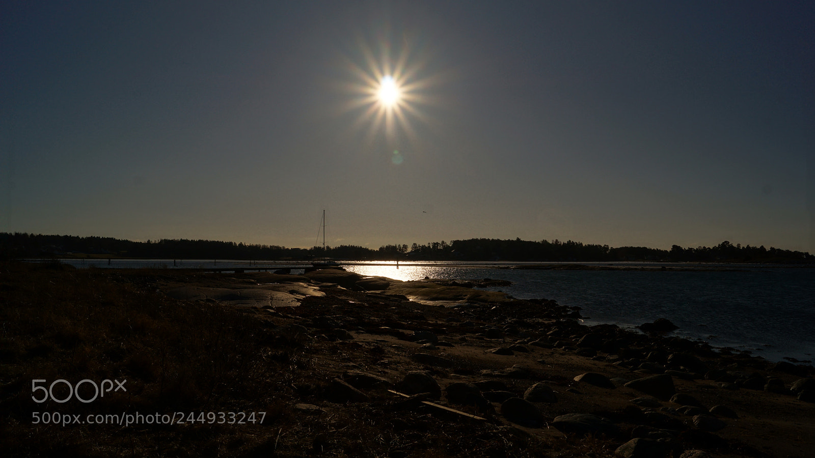 Sony SLT-A65 (SLT-A65V) sample photo. ? part iii photography
