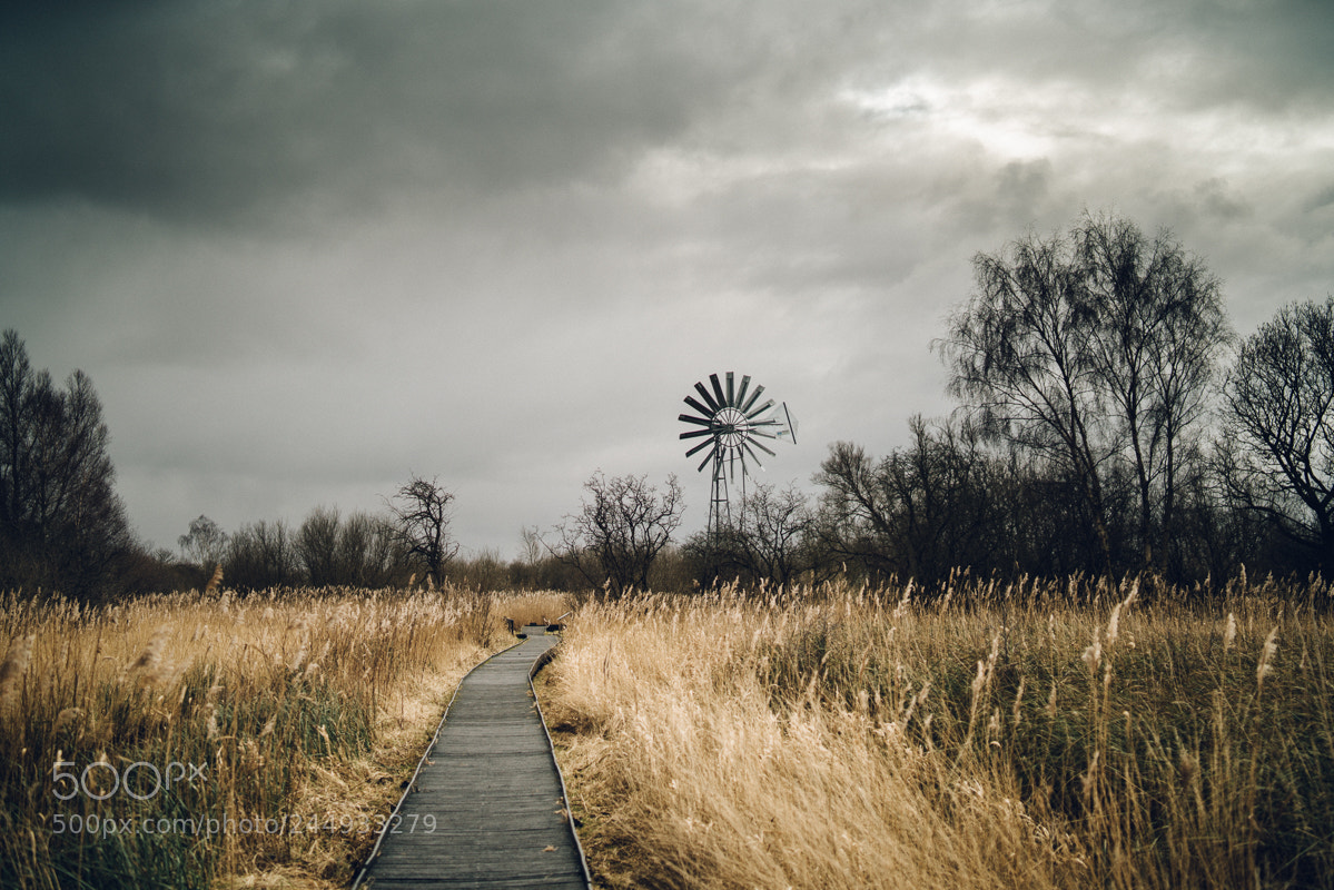 Sony a7R II sample photo. Boardwalk and windpump photography